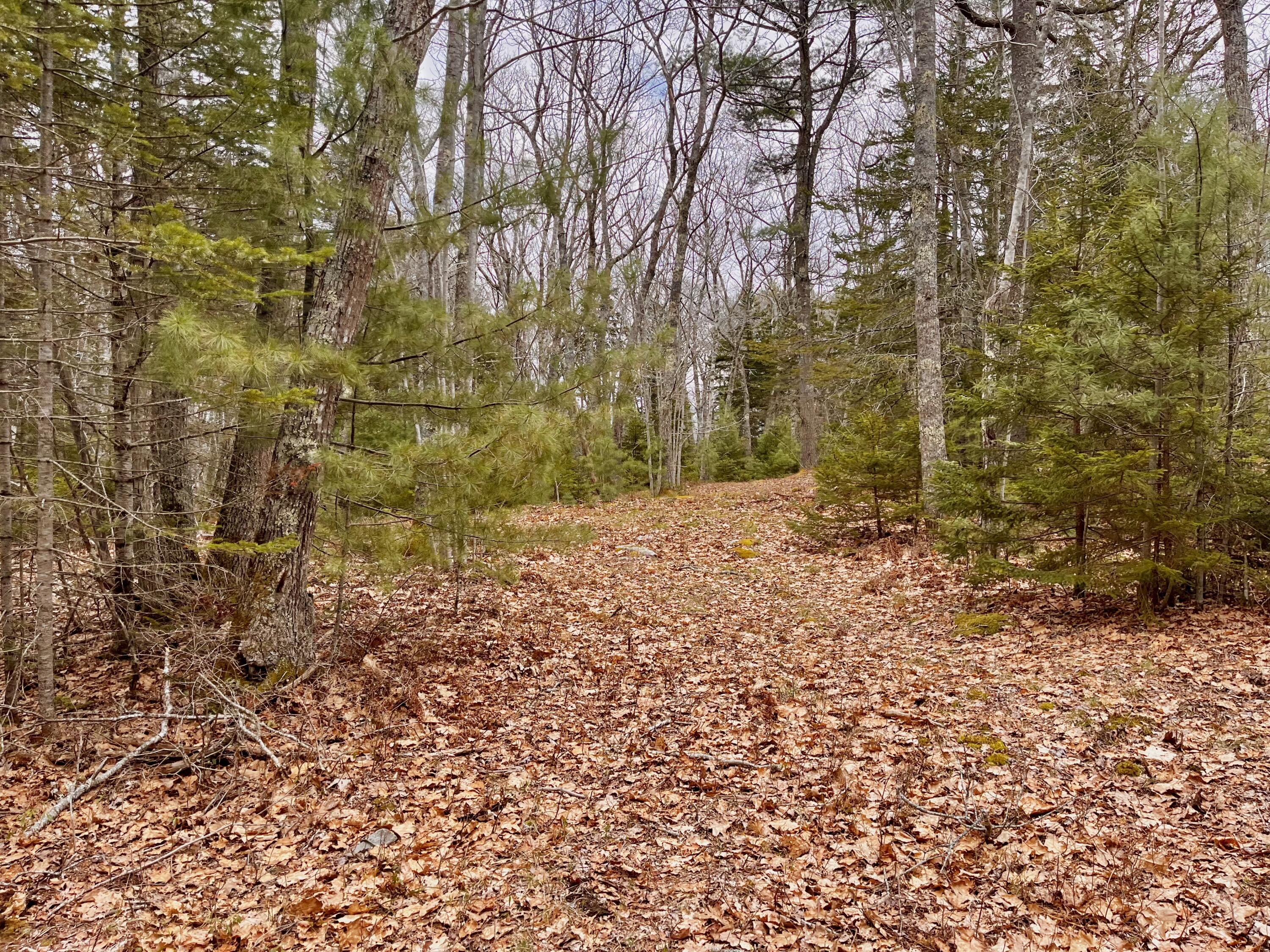 92 L Russel Road Chamberlain, ME 04541 - Photo 11 of 21
