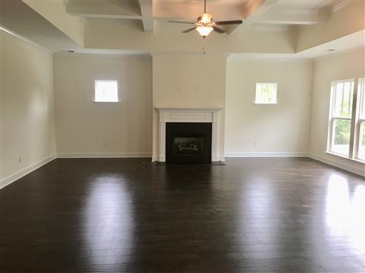 6927 Burkitt Road Nolensville, TN 37135 - Photo 3 of 5 Coffered ceiling and gas fireplace