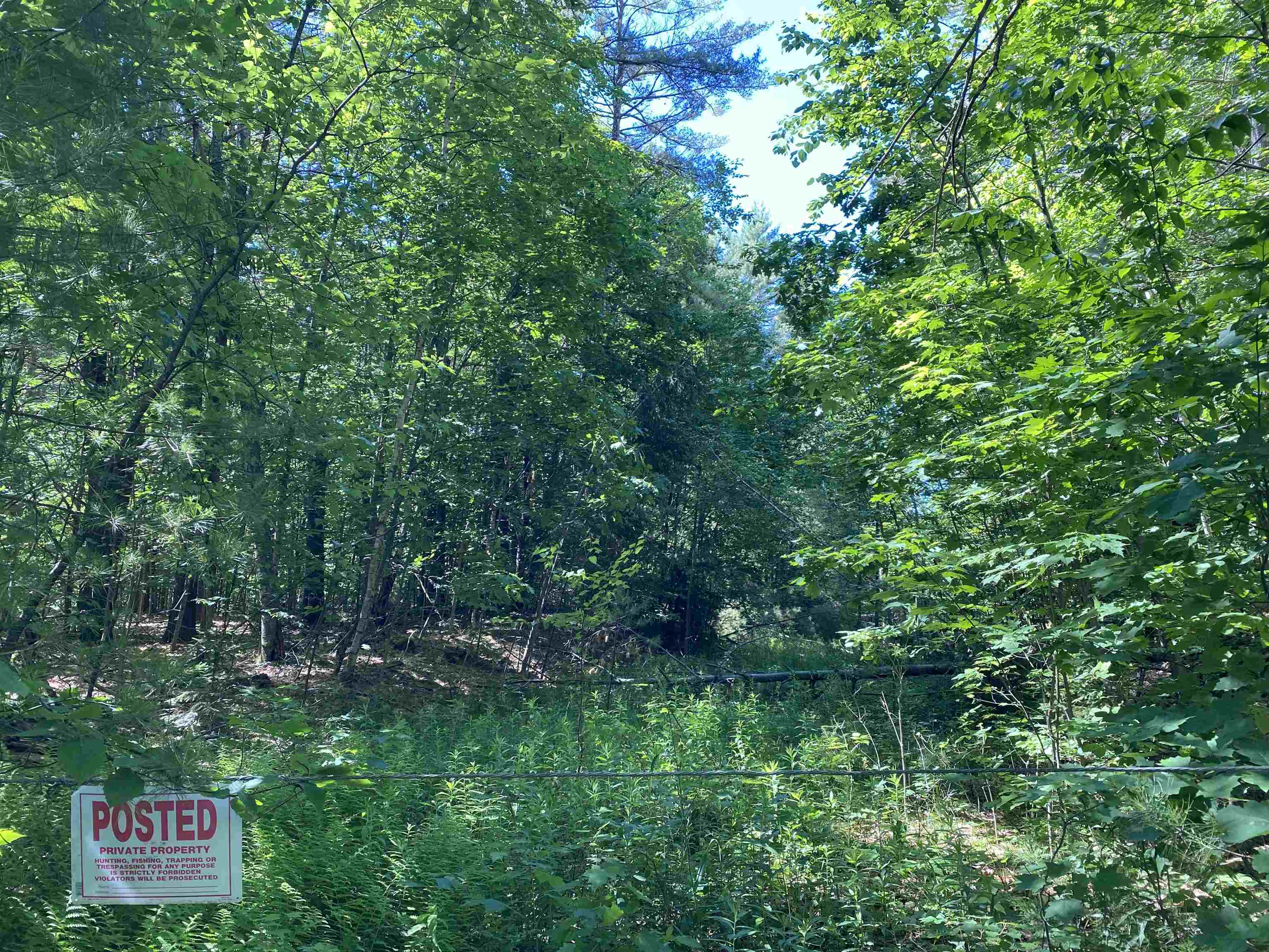 18 Catamount Road Pittsfield, NH 03263 - Photo 13 of 29