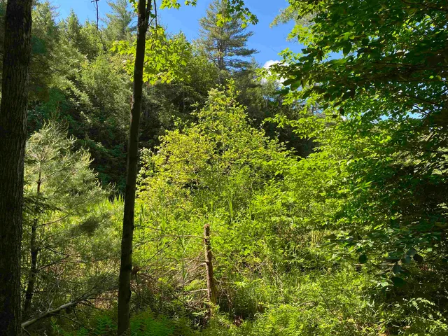 $225,000 | 18 Catamount Road, Pittsfield, NH 03263