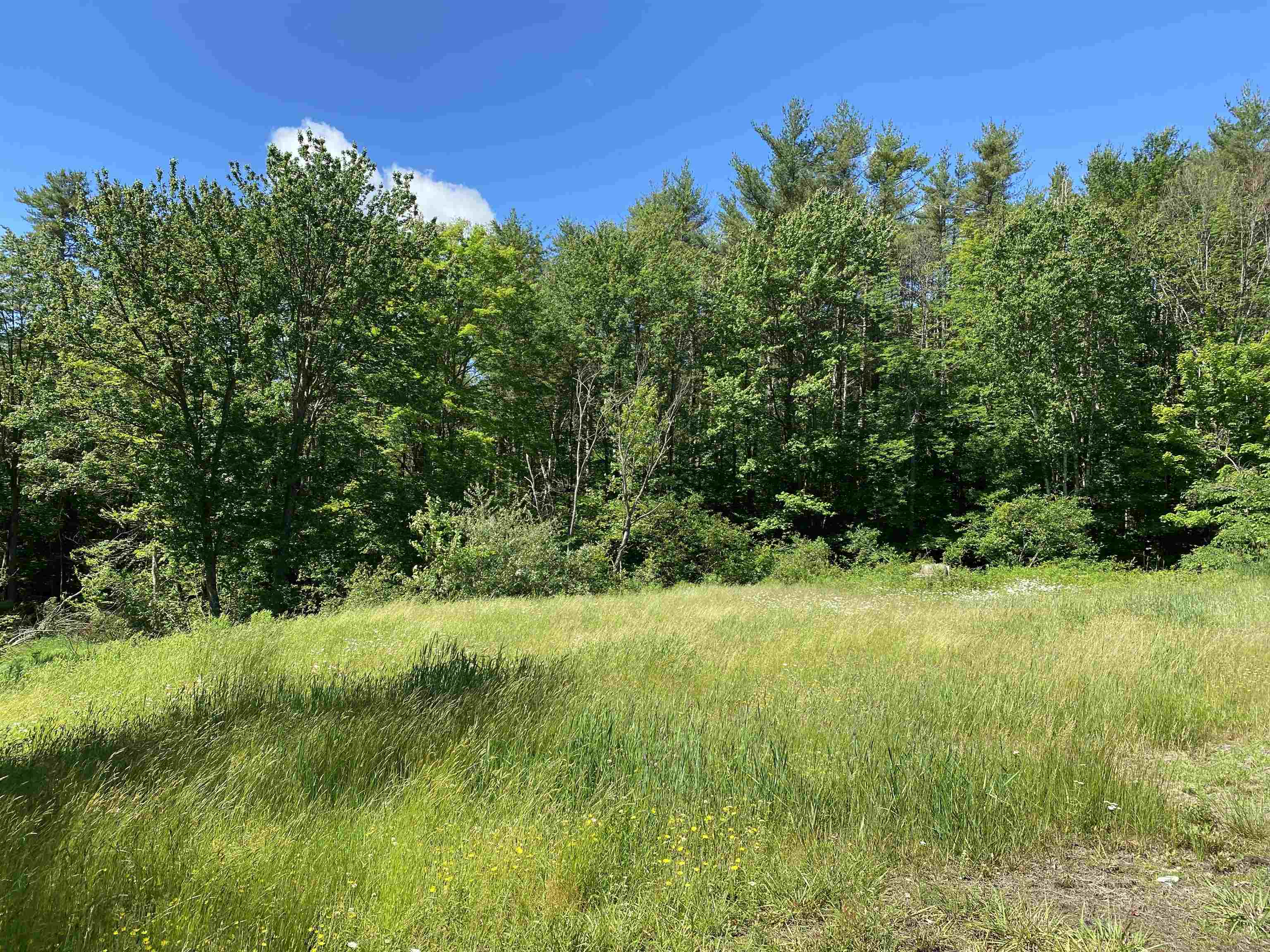 18 Catamount Road Pittsfield, NH 03263 - Photo 3 of 29