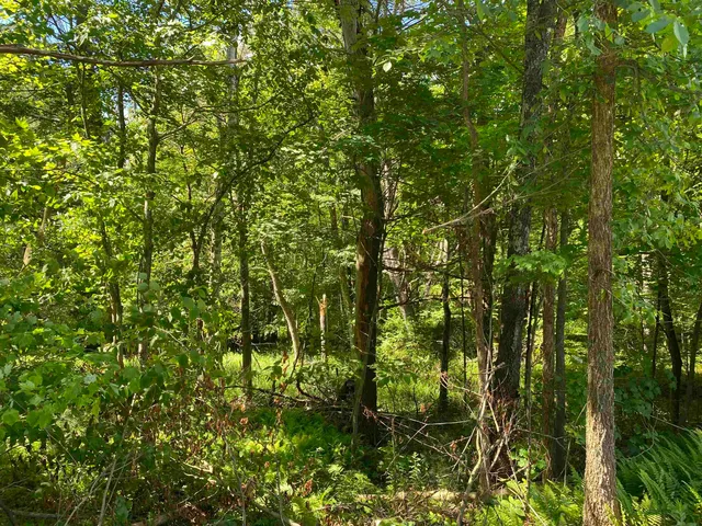 $225,000 | 18 Catamount Road, Pittsfield, NH 03263