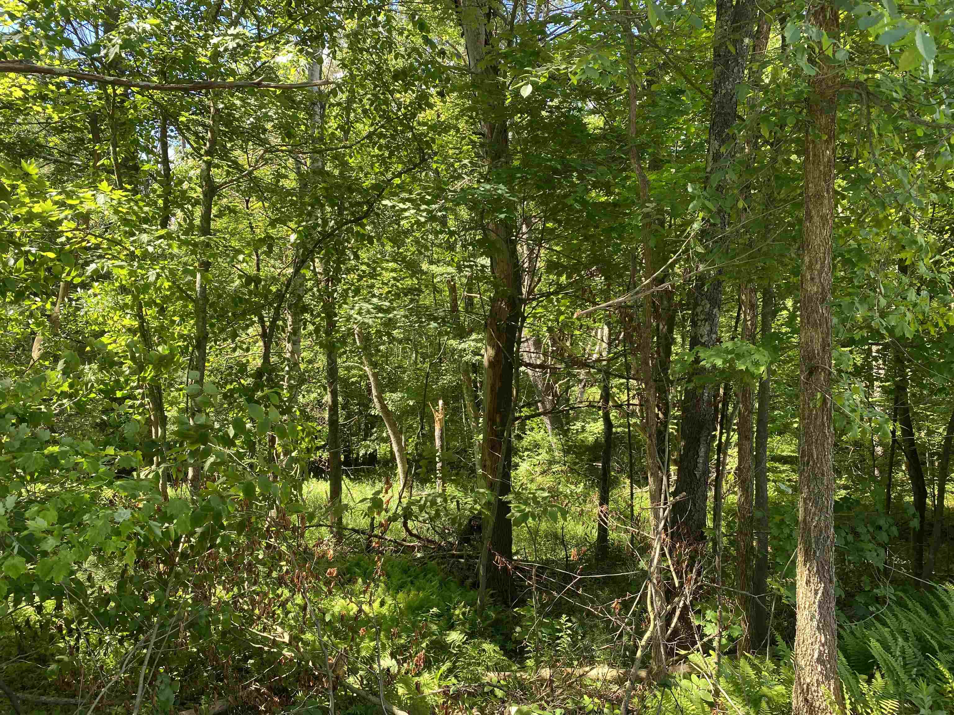 18 Catamount Road Pittsfield, NH 03263 - Photo 5 of 29