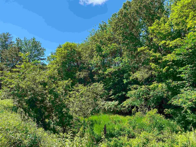 $225,000 | 18 Catamount Road, Pittsfield, NH 03263