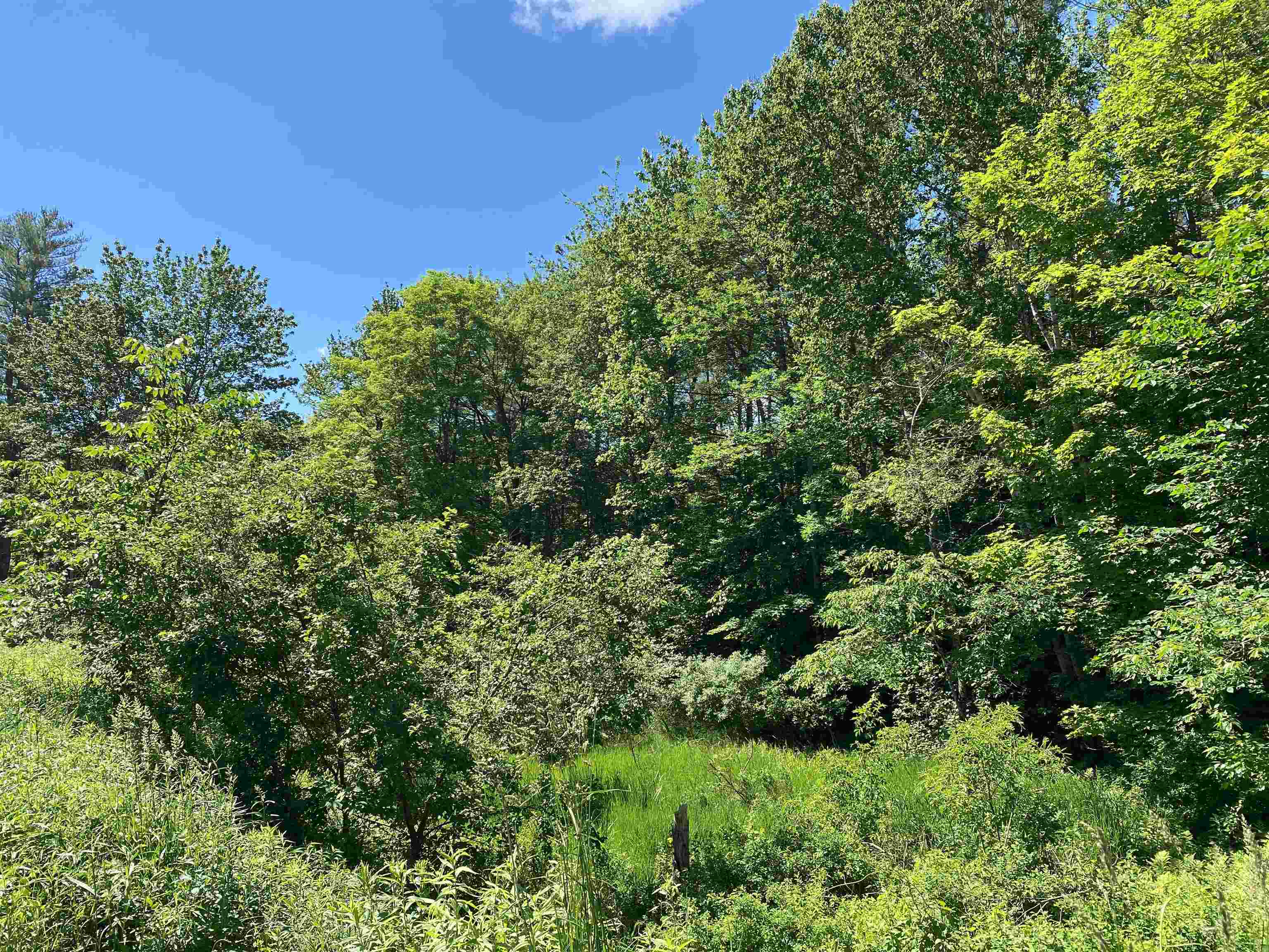 18 Catamount Road Pittsfield, NH 03263 - Photo 7 of 29