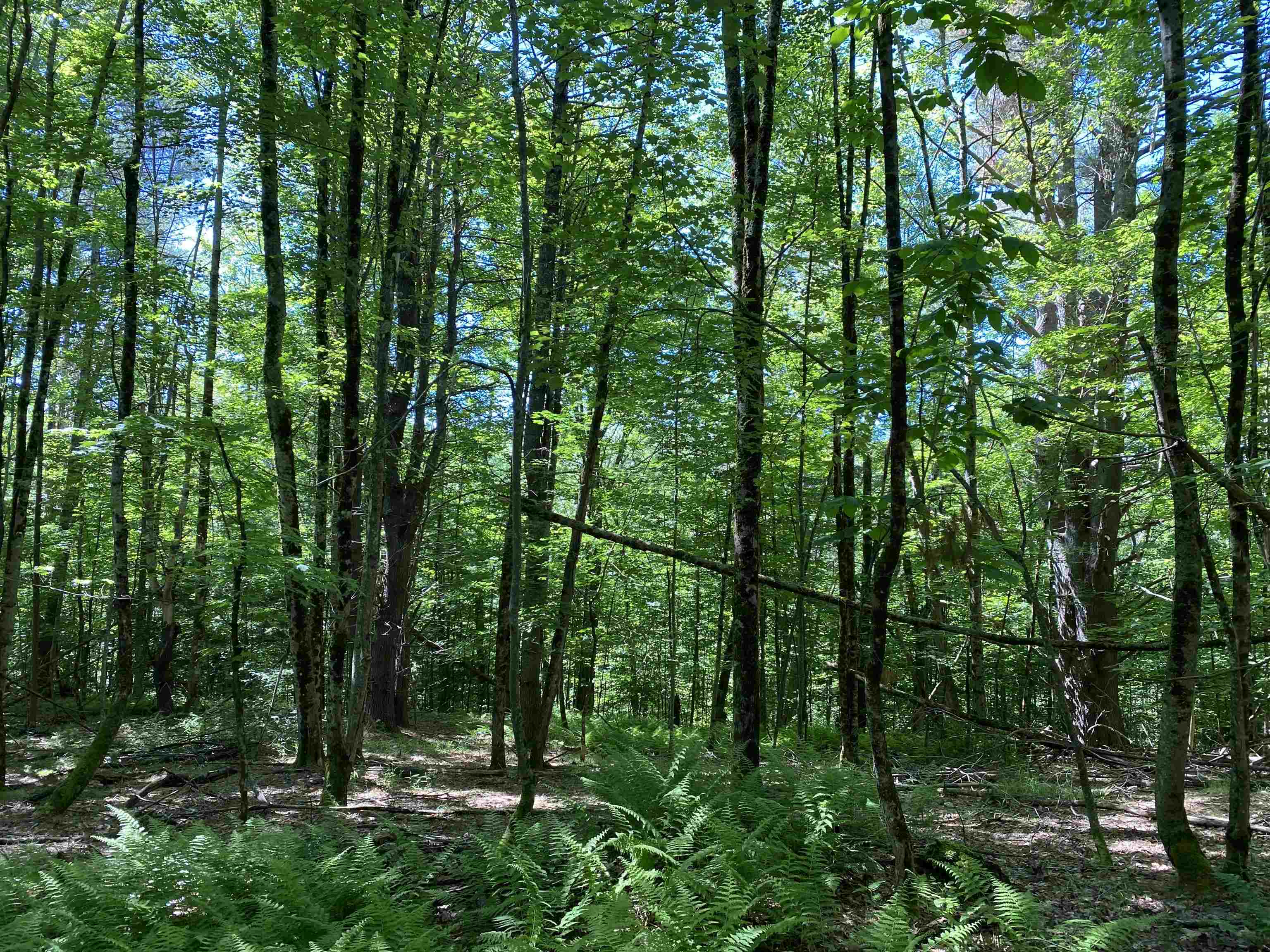 18 Catamount Road Pittsfield, NH 03263 - Photo 10 of 29