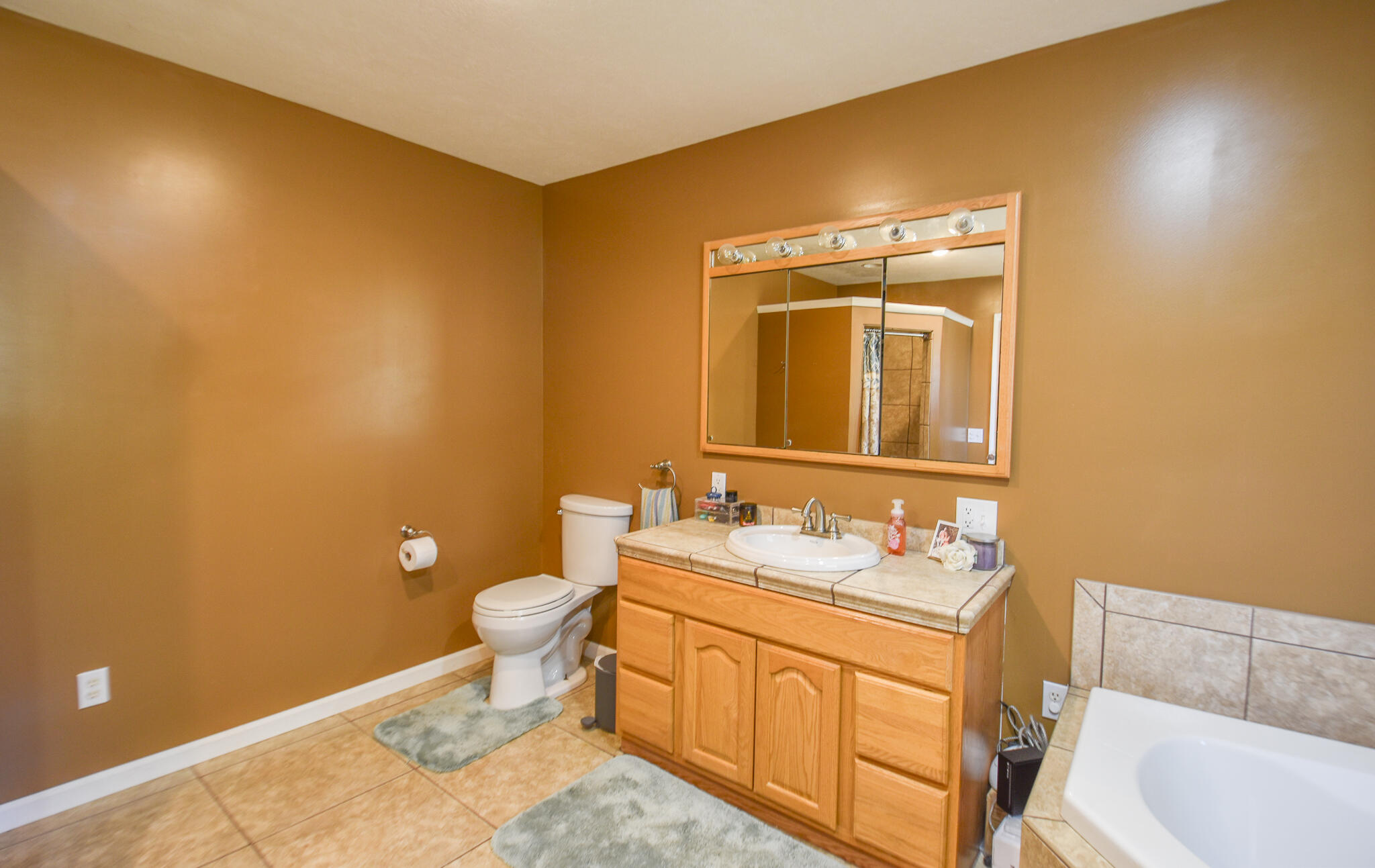 250 South Centennial Road Coldwater, MI 49036 - Photo 27 of 43 DSC_0016