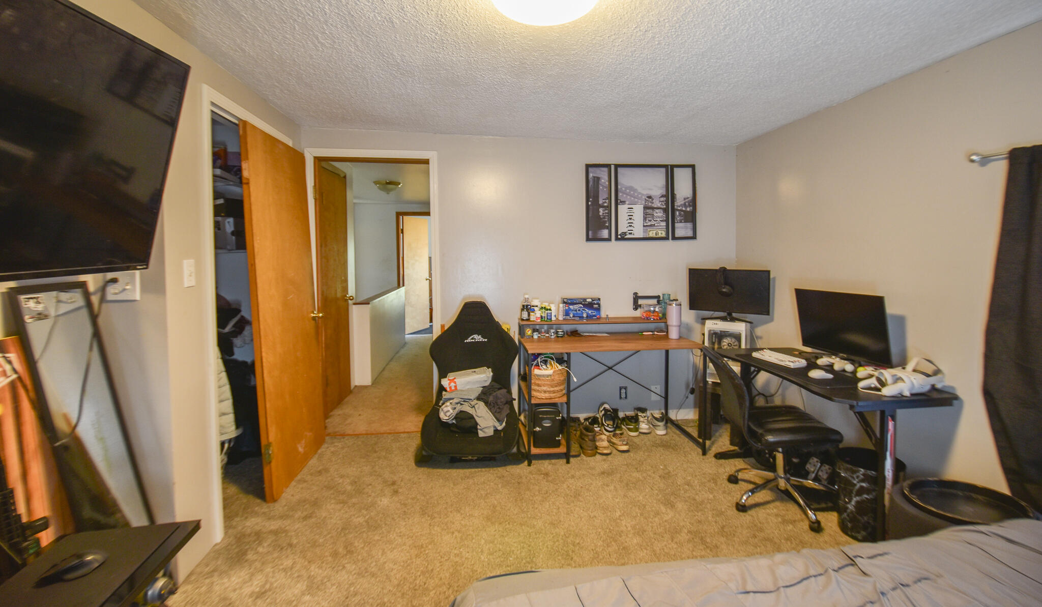 250 South Centennial Road Coldwater, MI 49036 - Photo 32 of 43 DSC_0079