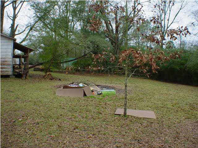 411 Oak Street Mize, MS 39116 - Photo 4 of 4 Photo 4