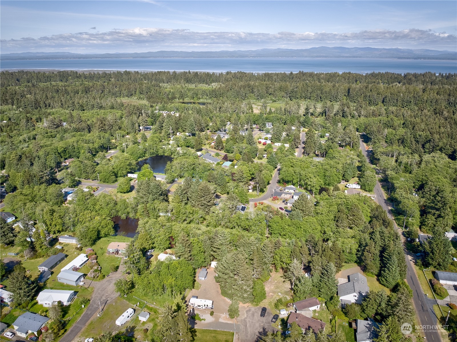 1413 321st Place Ocean Park, WA 98640 - Photo 13 of 20 a view of a yard with an outdoor space