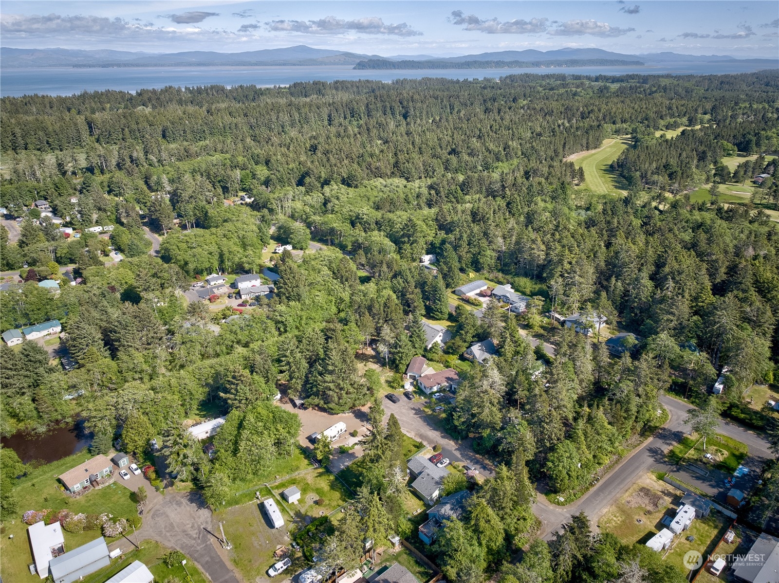 1413 321st Place Ocean Park, WA 98640 - Photo 16 of 20 a view of a city with lush green forest