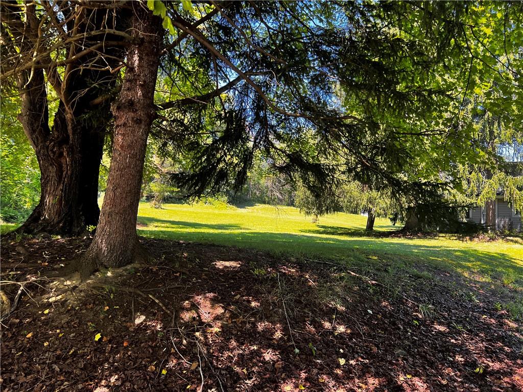 5650 Aiken Road McKees Rocks, PA 15136 - Photo 4 of 16 a view of a yard with swimming pool