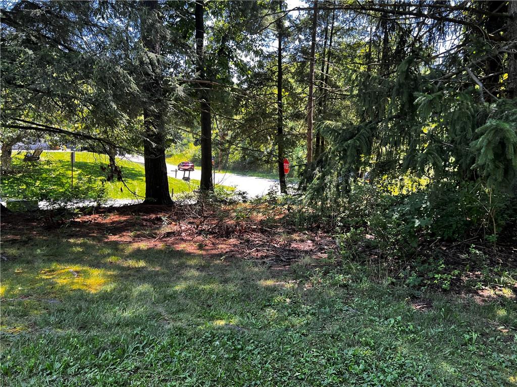 5650 Aiken Road McKees Rocks, PA 15136 - Photo 7 of 16 a view of a tree in a yard