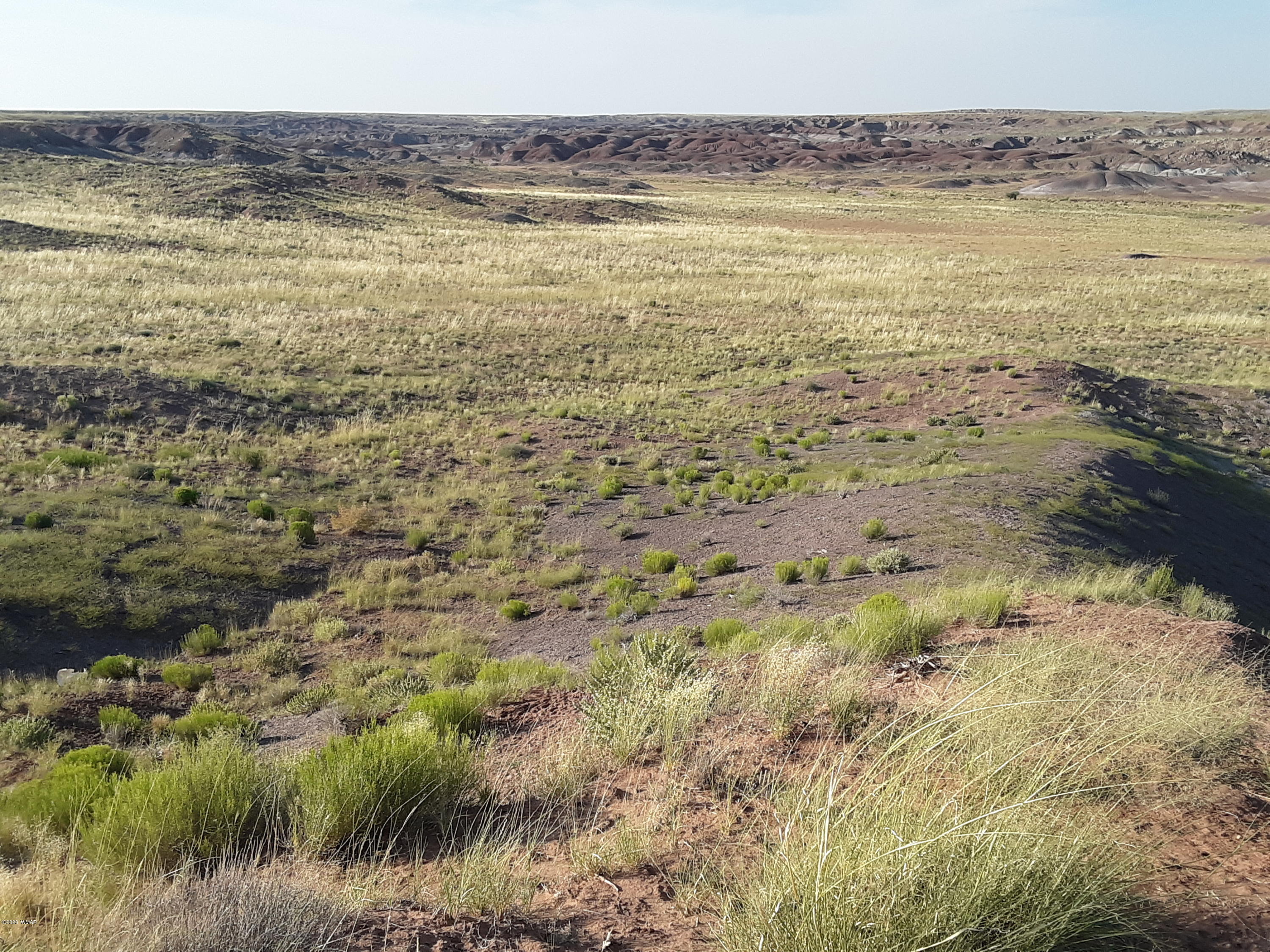 22.5 Acres Coyote Road Holbrook, AZ 86025 - Photo 11 of 38