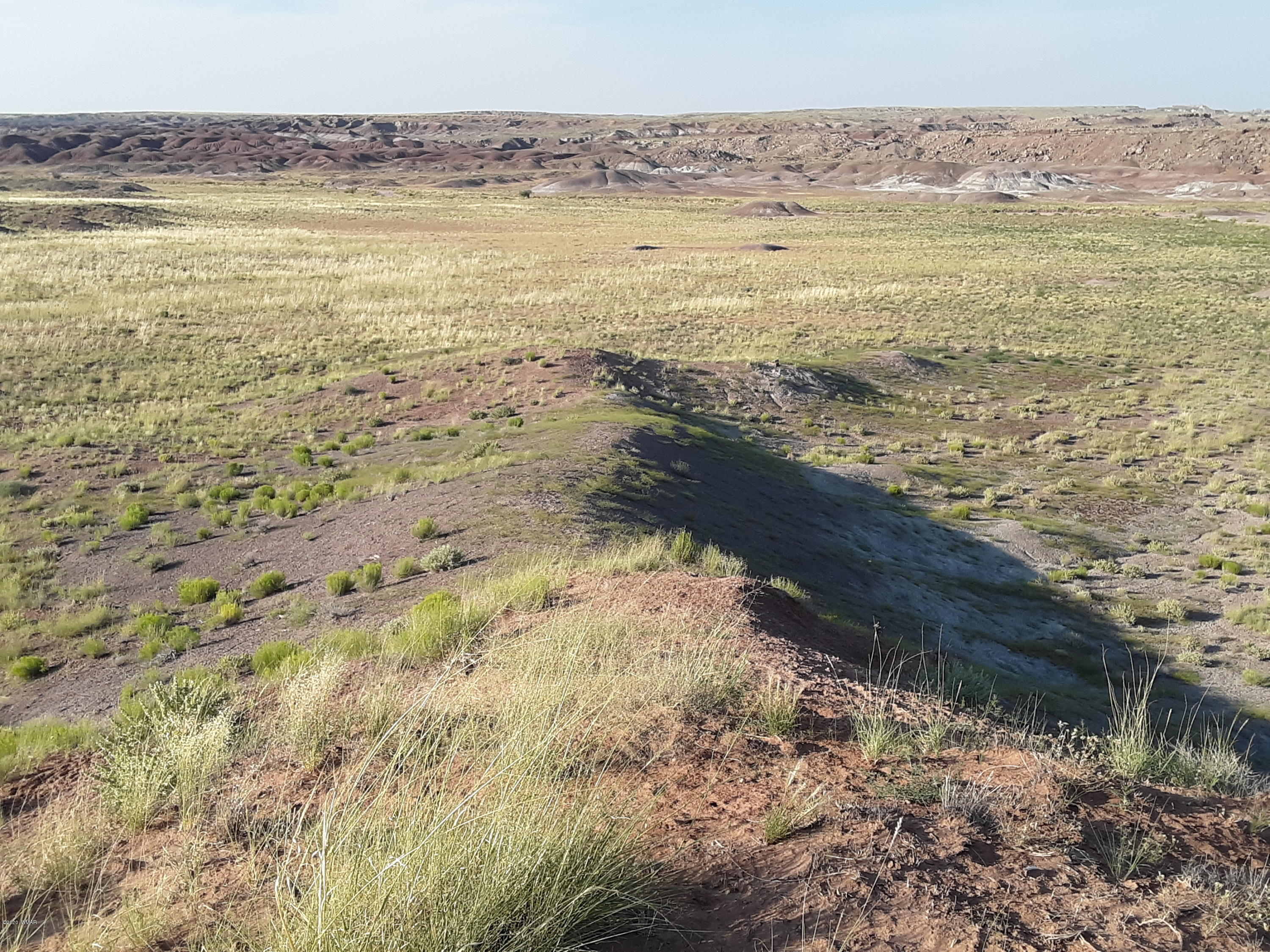 22.5 Acres Coyote Road Holbrook, AZ 86025 - Photo 12 of 38