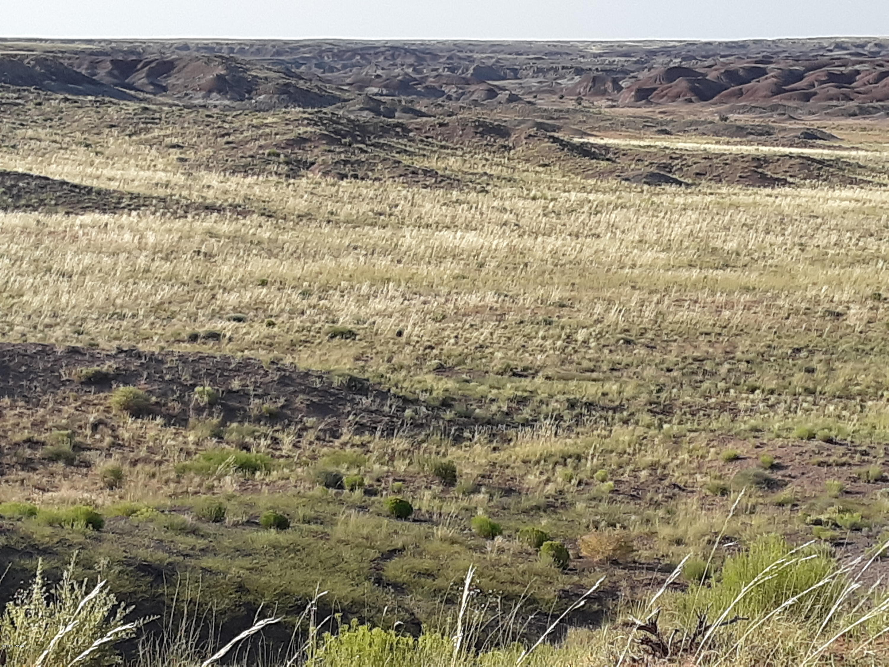 22.5 Acres Coyote Road Holbrook, AZ 86025 - Photo 13 of 38