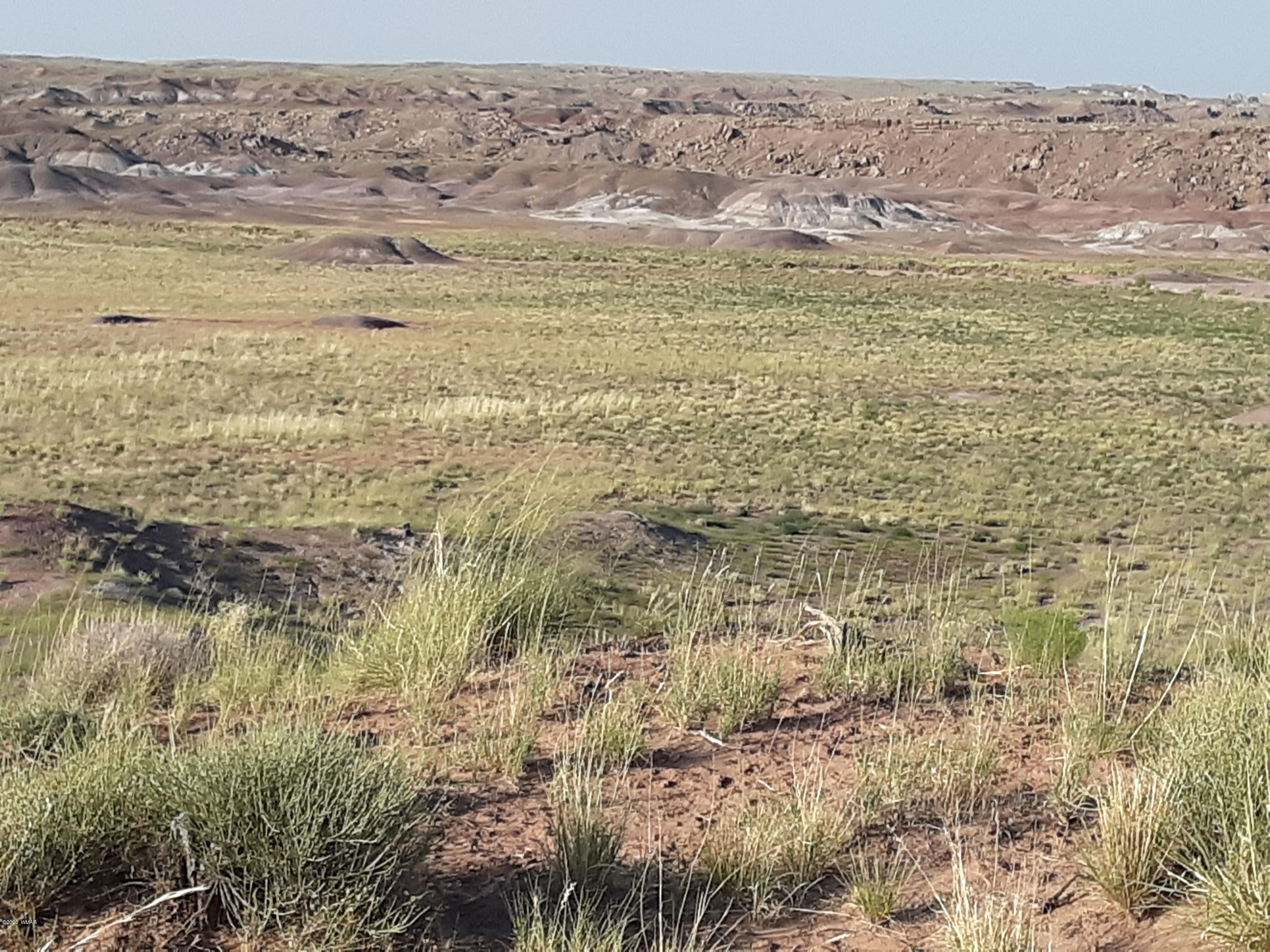 22.5 Acres Coyote Road Holbrook, AZ 86025 - Photo 15 of 38
