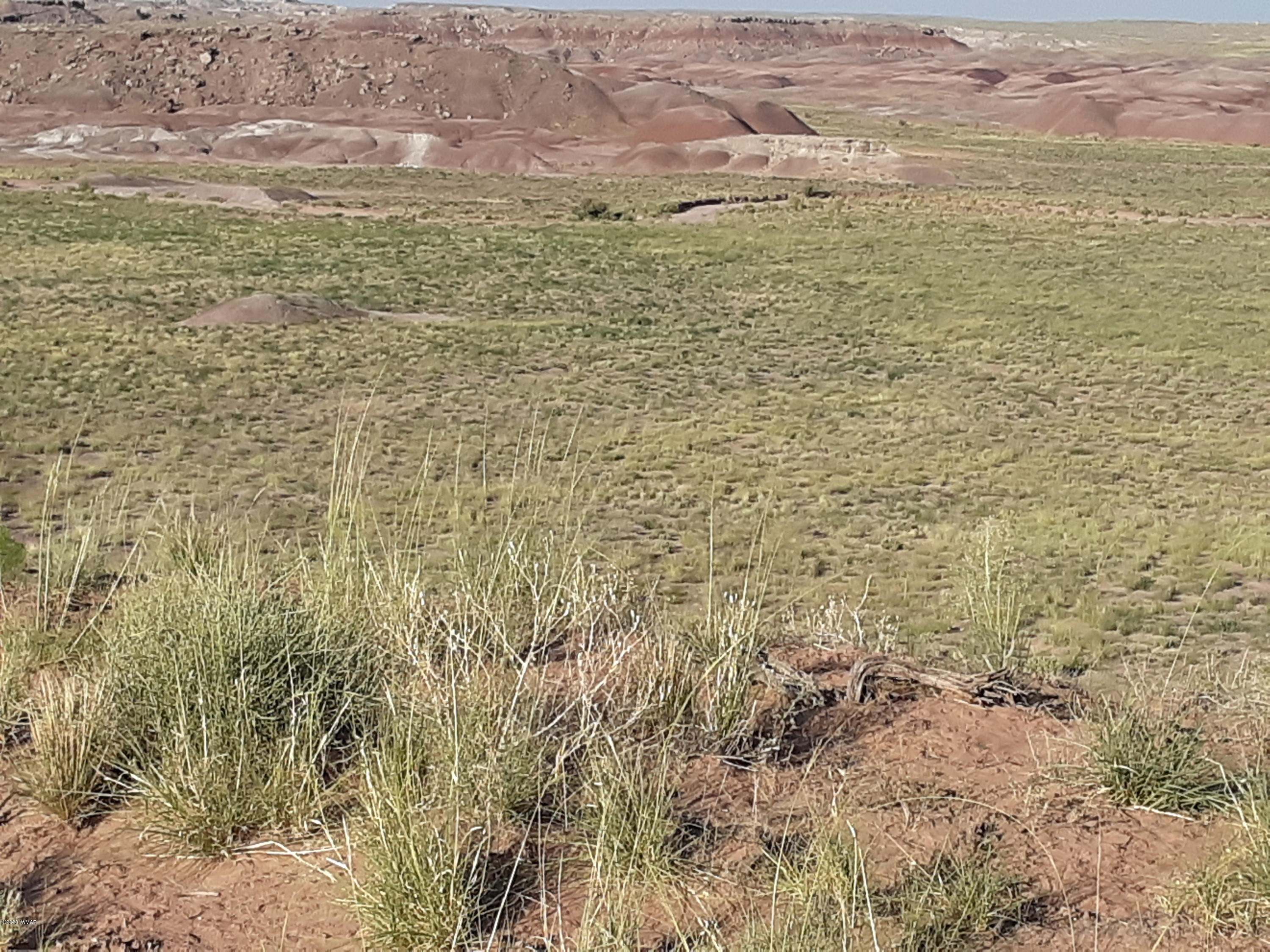 22.5 Acres Coyote Road Holbrook, AZ 86025 - Photo 16 of 38