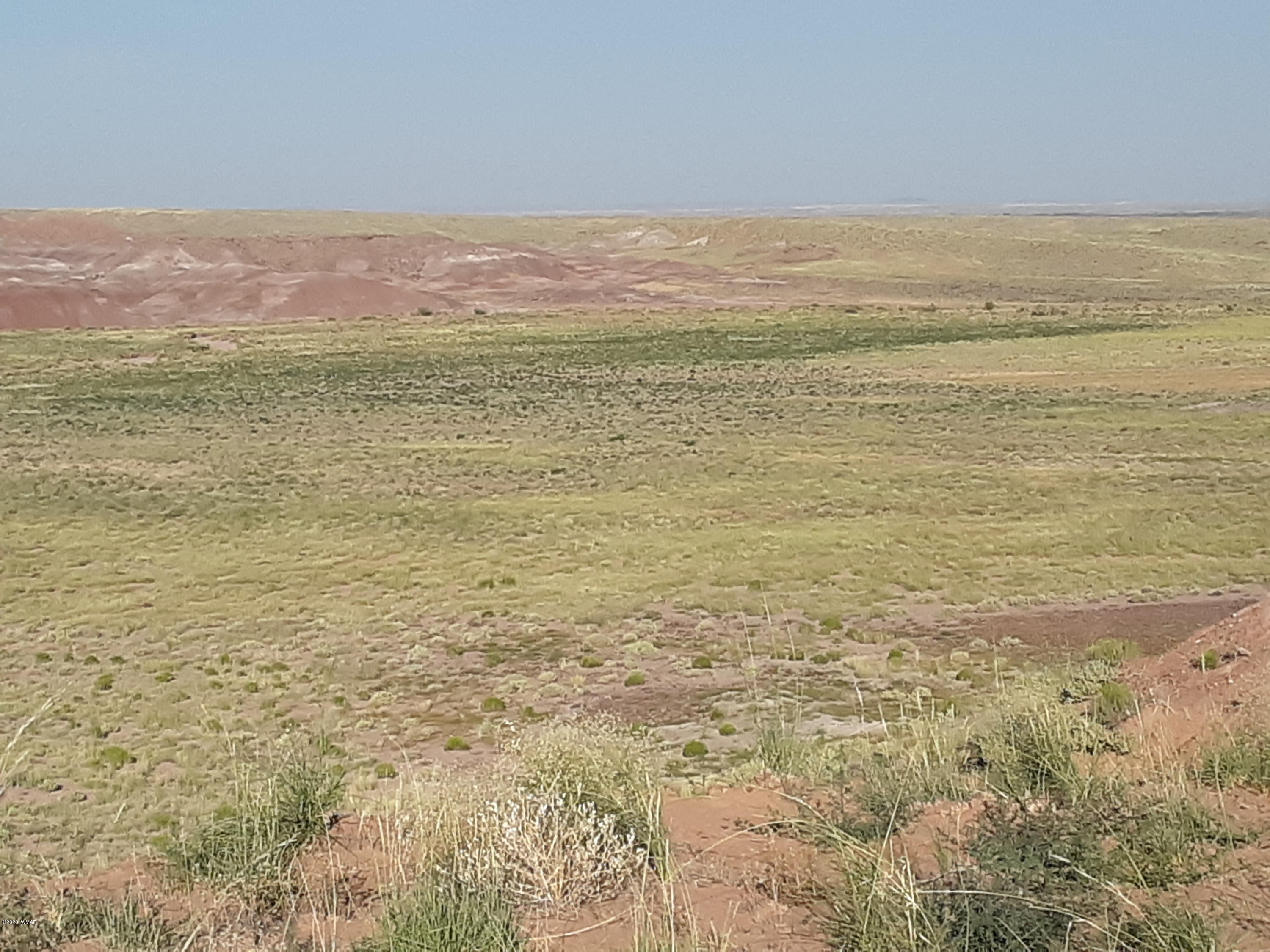 22.5 Acres Coyote Road Holbrook, AZ 86025 - Photo 17 of 38