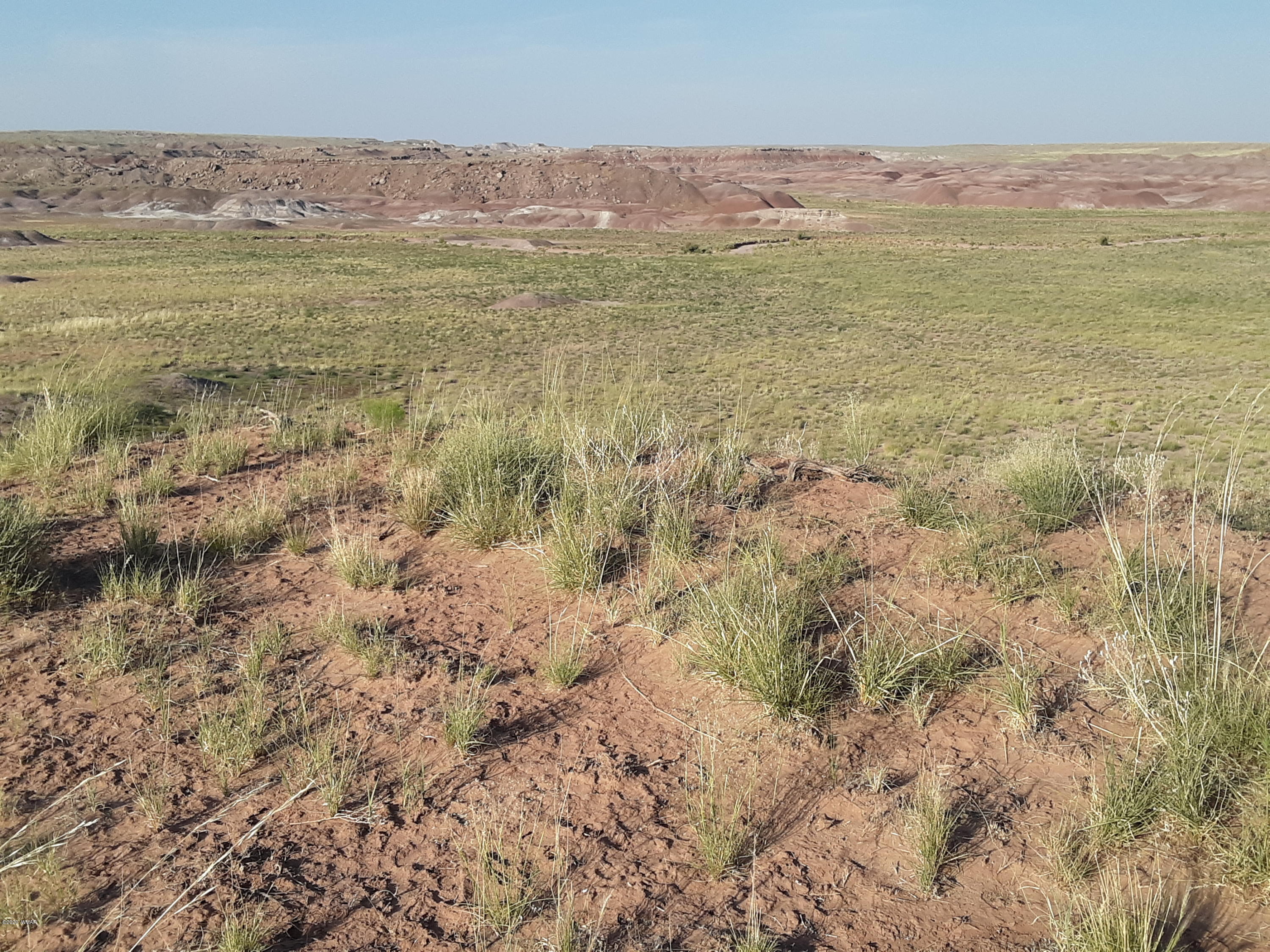 22.5 Acres Coyote Road Holbrook, AZ 86025 - Photo 20 of 38