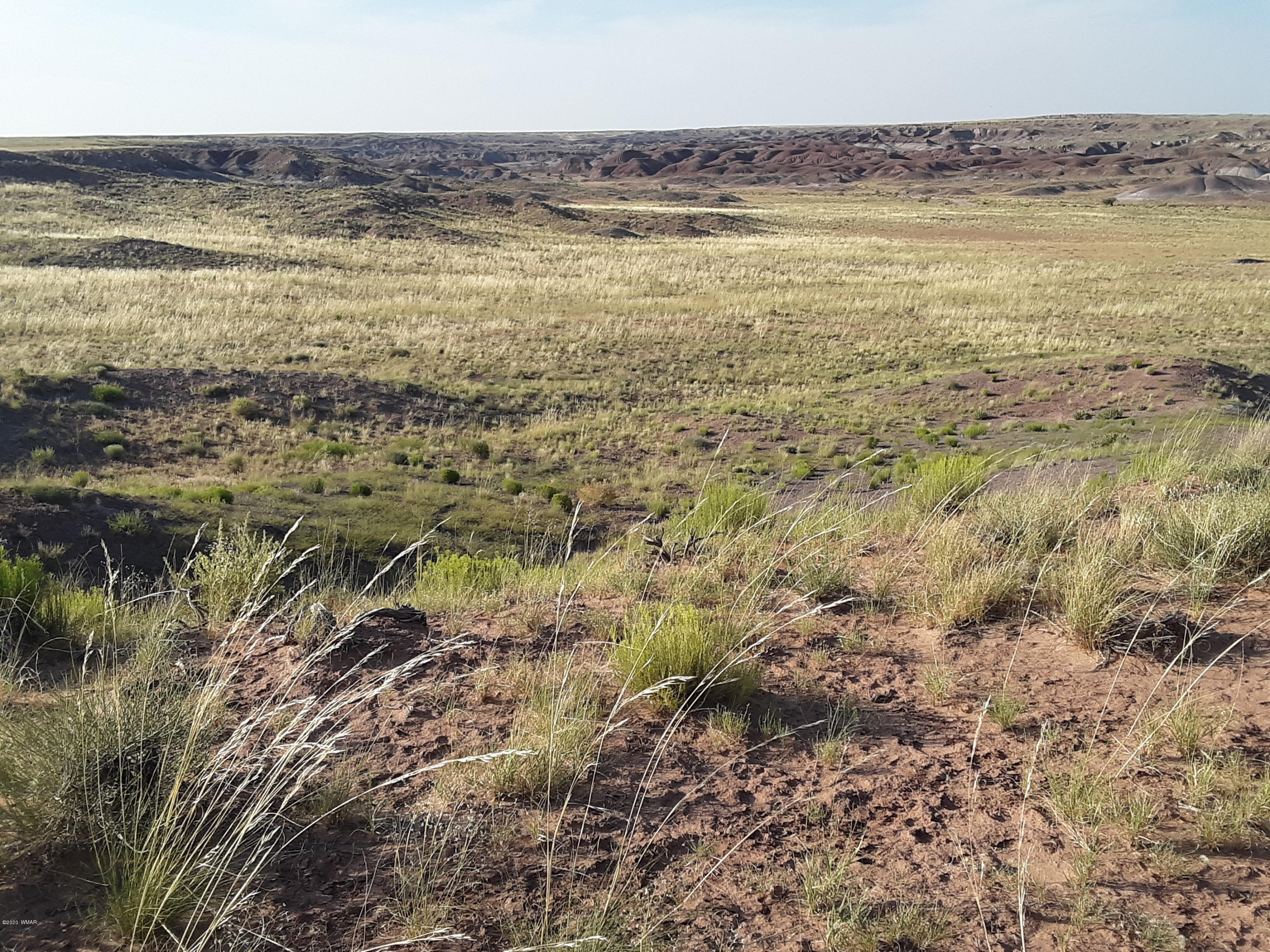 22.5 Acres Coyote Road Holbrook, AZ 86025 - Photo 21 of 38