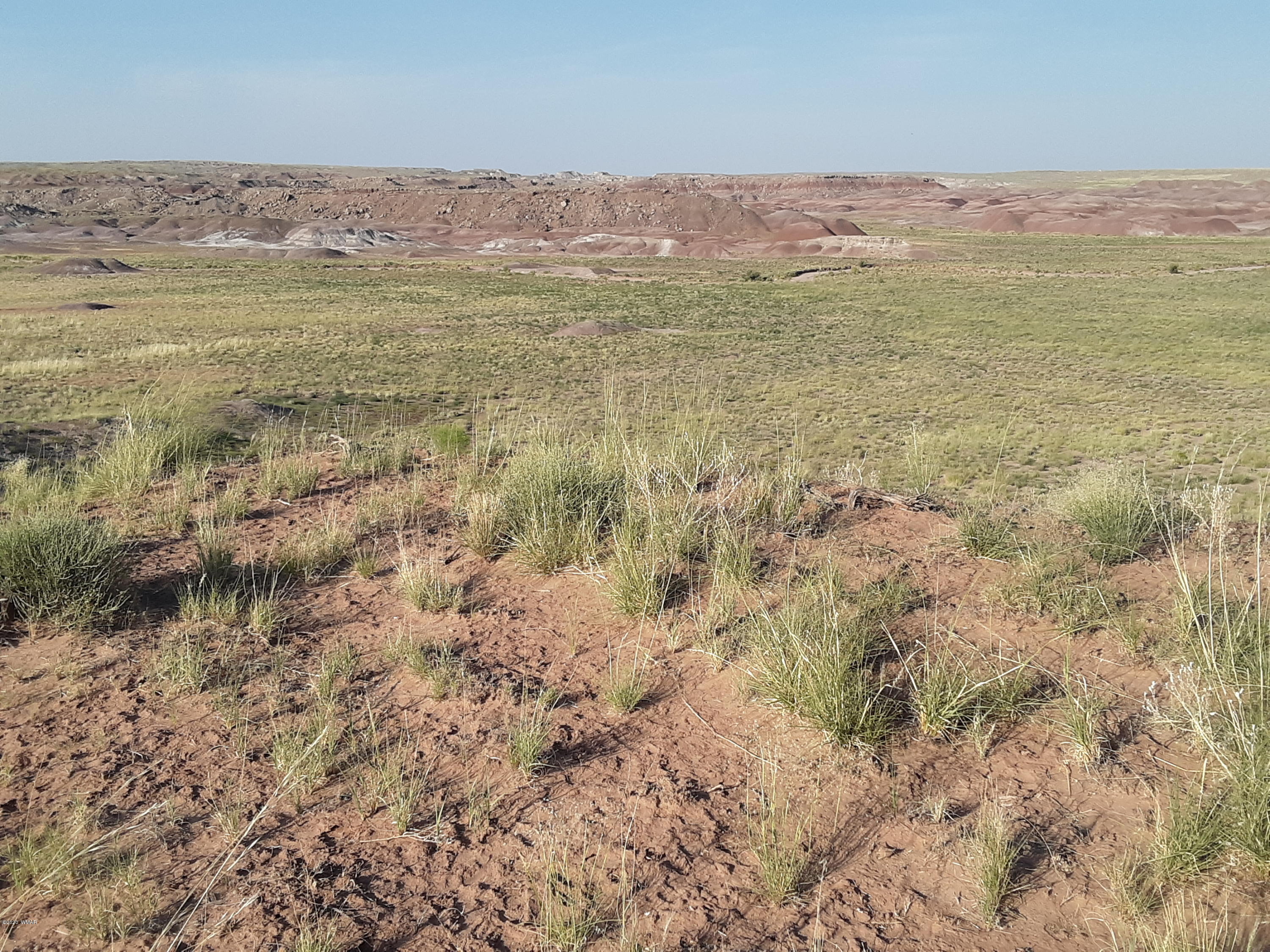 22.5 Acres Coyote Road Holbrook, AZ 86025 - Photo 22 of 38