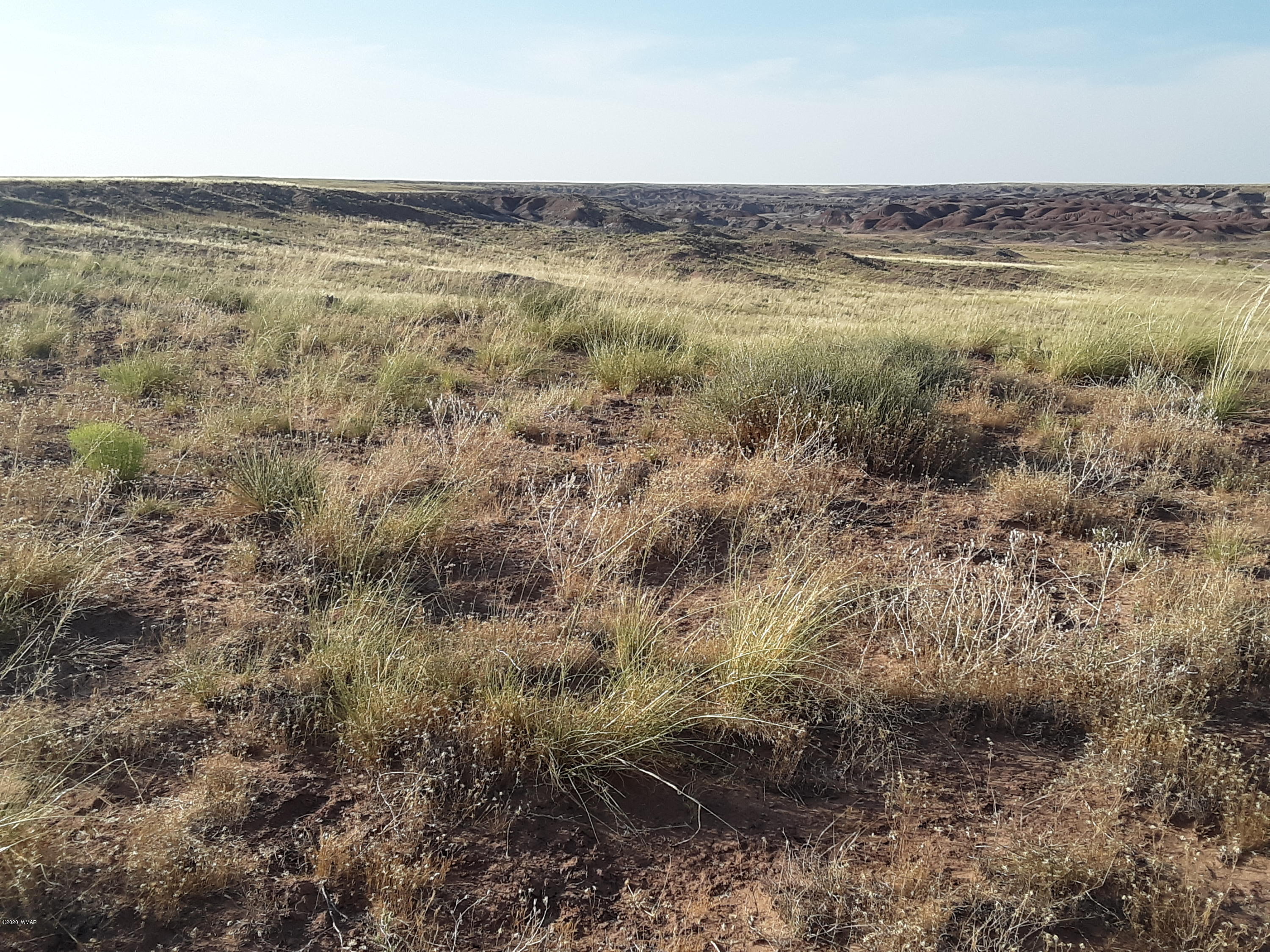 22.5 Acres Coyote Road Holbrook, AZ 86025 - Photo 24 of 38