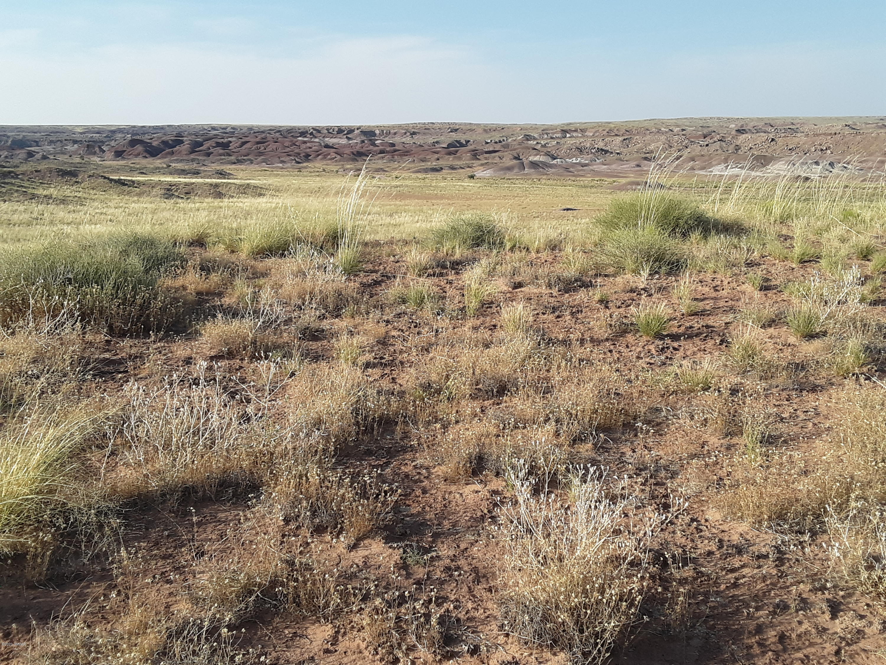 22.5 Acres Coyote Road Holbrook, AZ 86025 - Photo 25 of 38