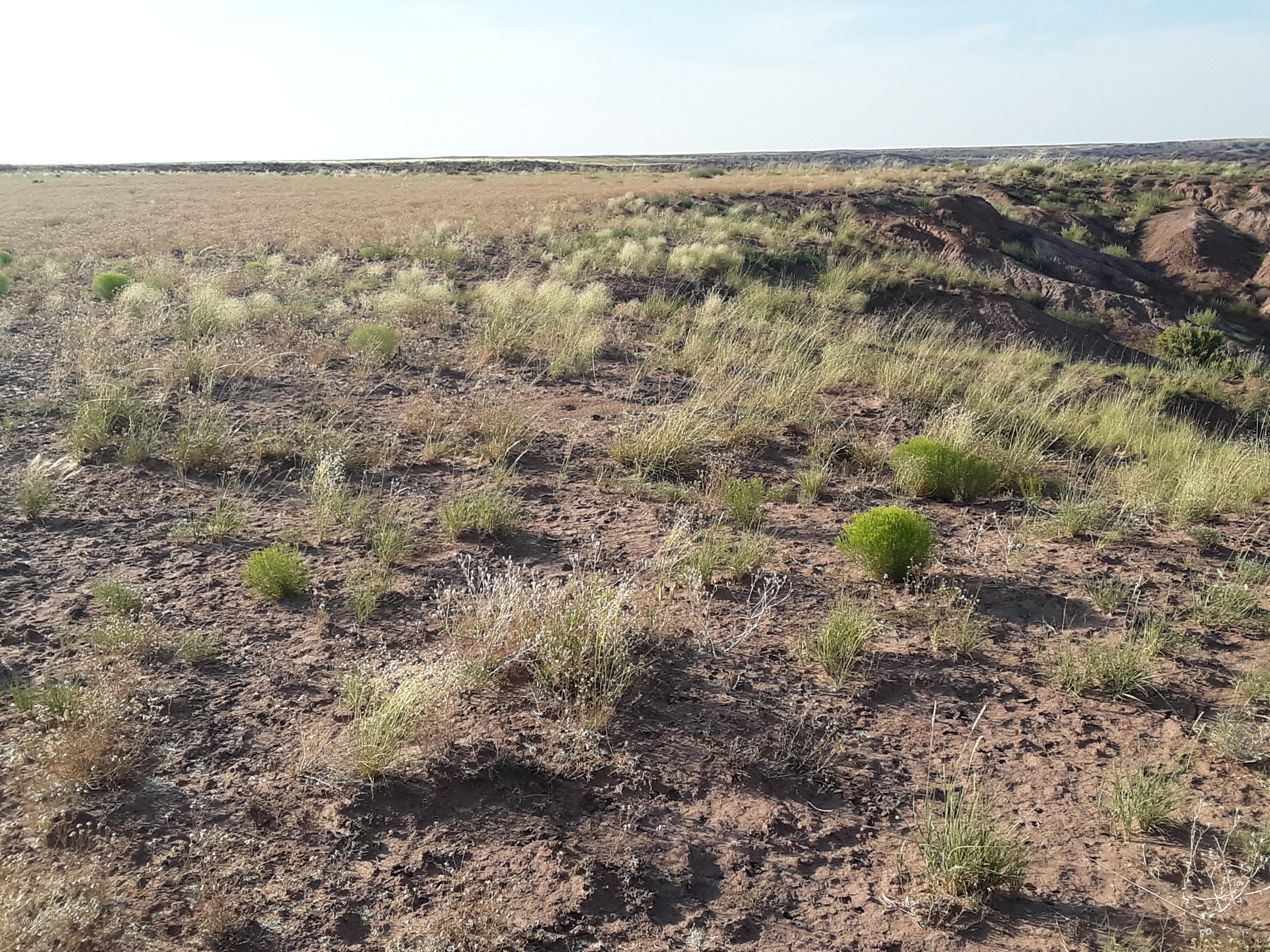 22.5 Acres Coyote Road Holbrook, AZ 86025 - Photo 27 of 38