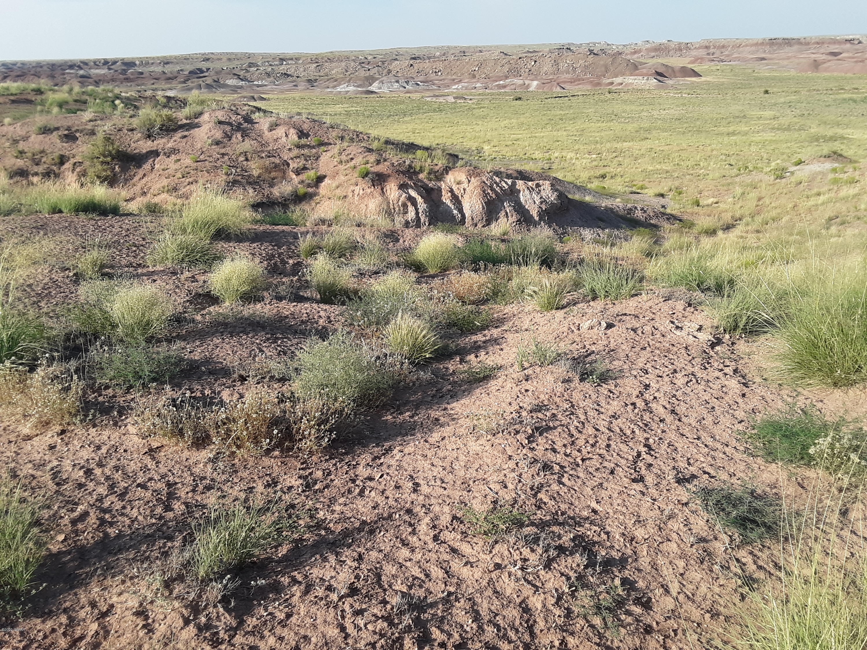 22.5 Acres Coyote Road Holbrook, AZ 86025 - Photo 28 of 38