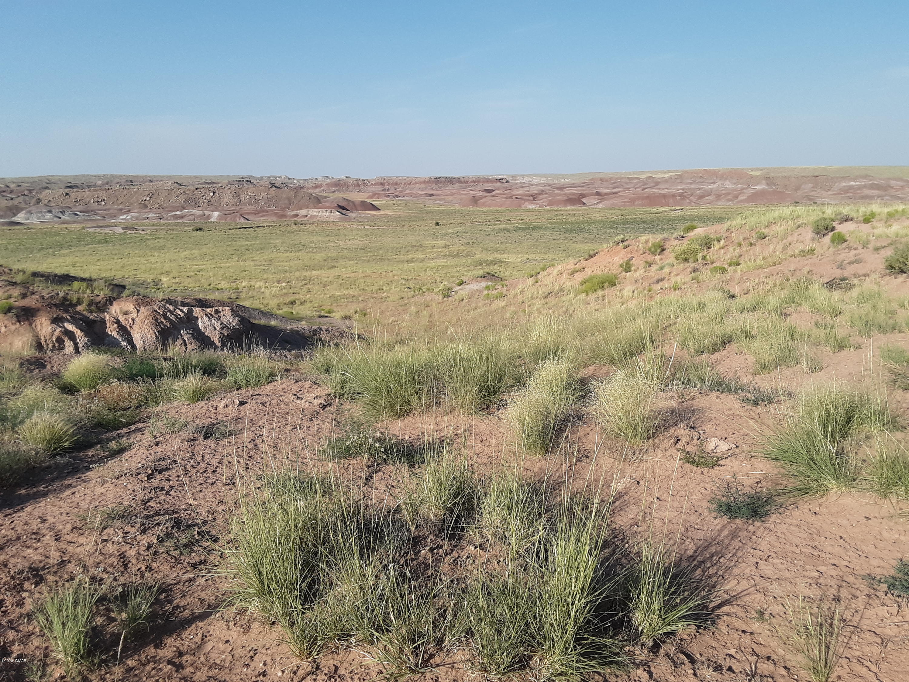 22.5 Acres Coyote Road Holbrook, AZ 86025 - Photo 29 of 38