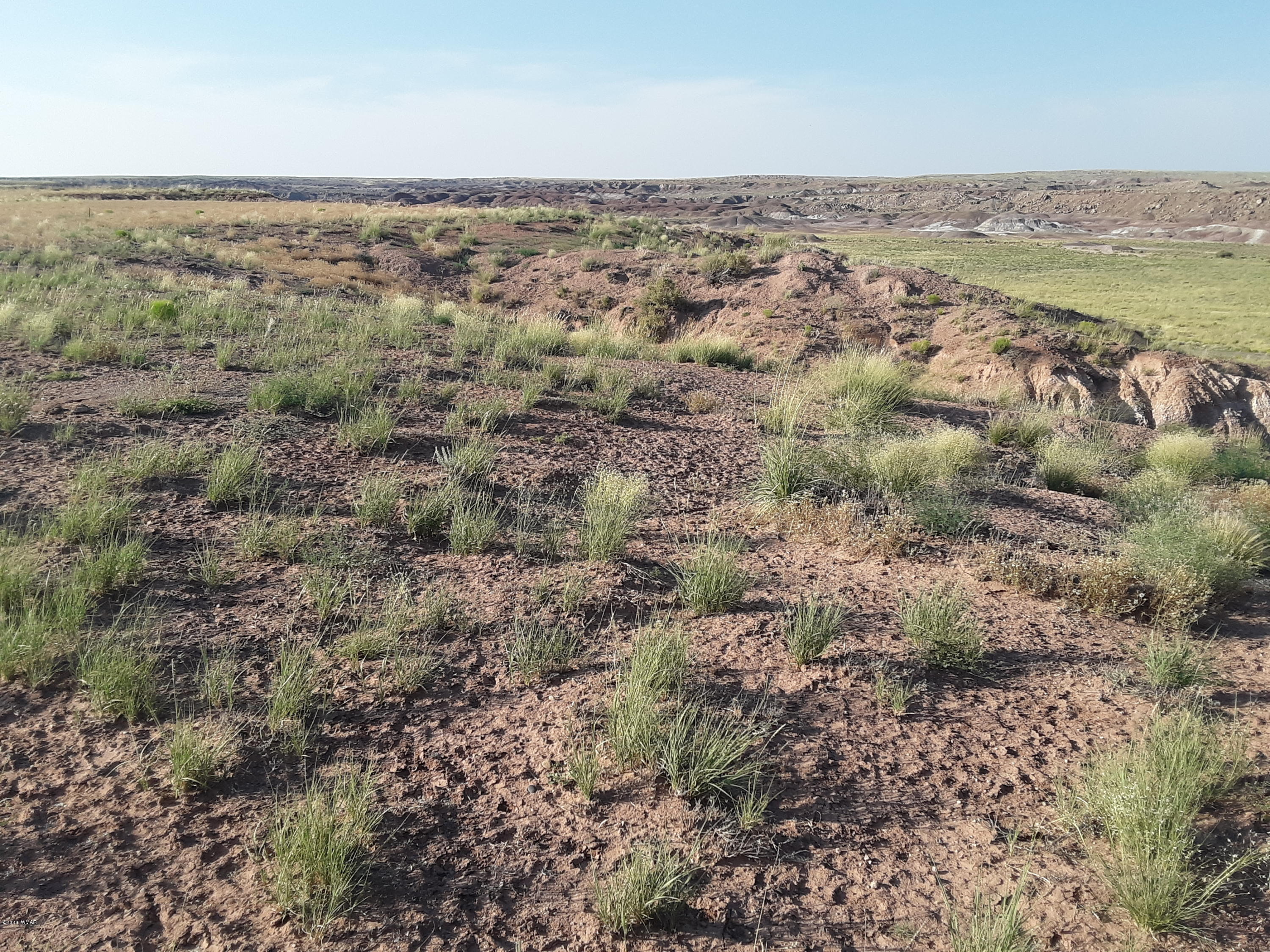 22.5 Acres Coyote Road Holbrook, AZ 86025 - Photo 30 of 38