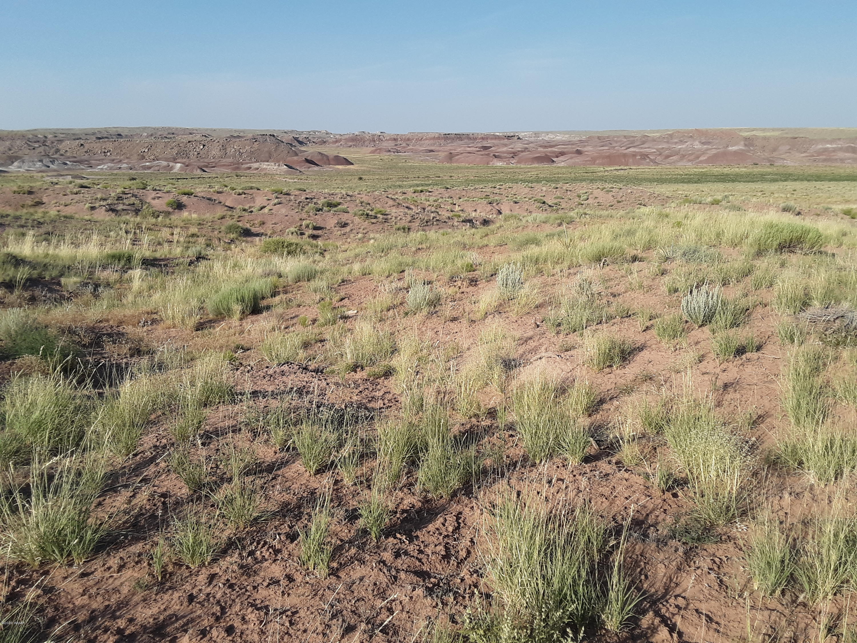 22.5 Acres Coyote Road Holbrook, AZ 86025 - Photo 32 of 38