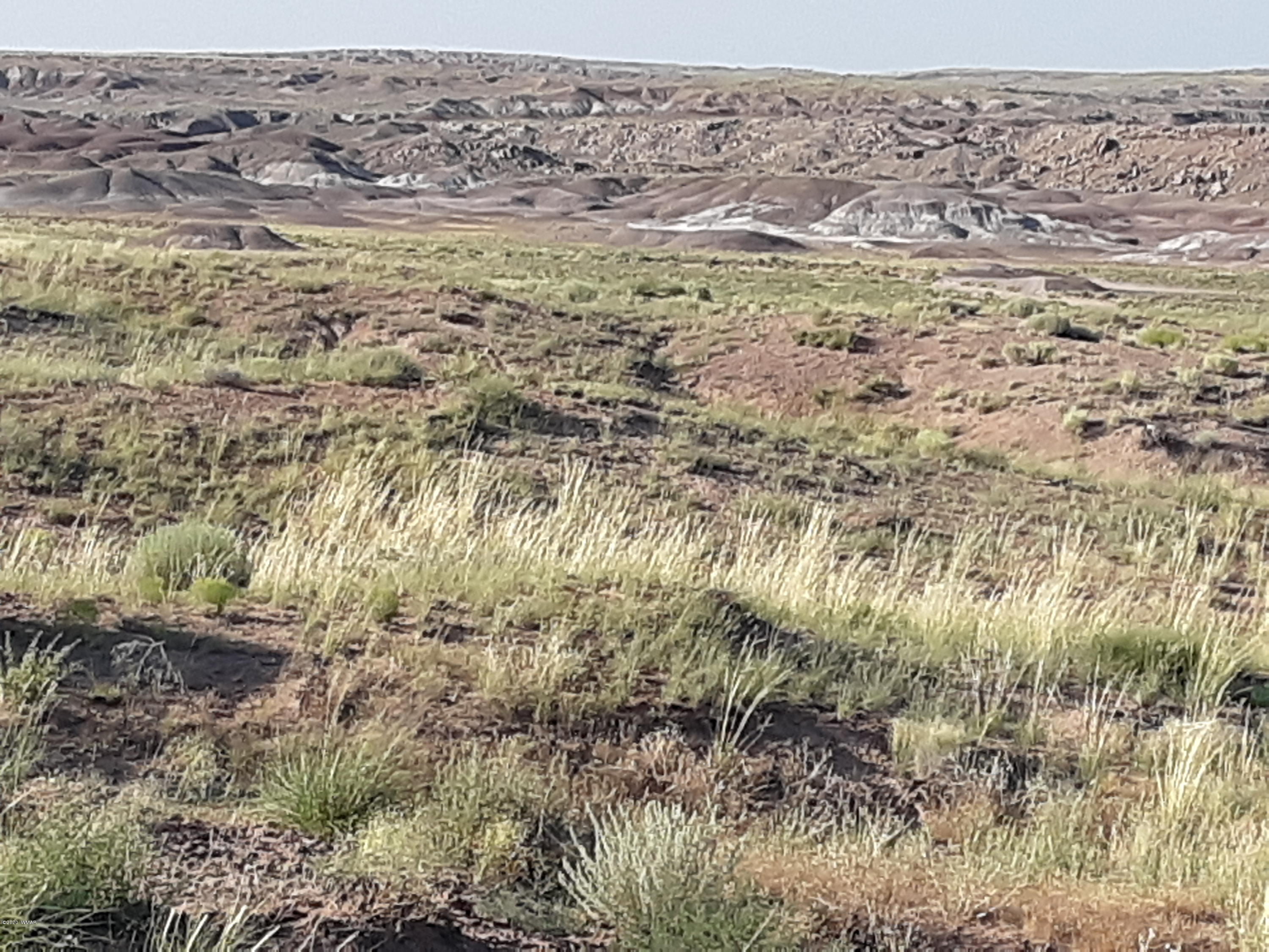 22.5 Acres Coyote Road Holbrook, AZ 86025 - Photo 33 of 38