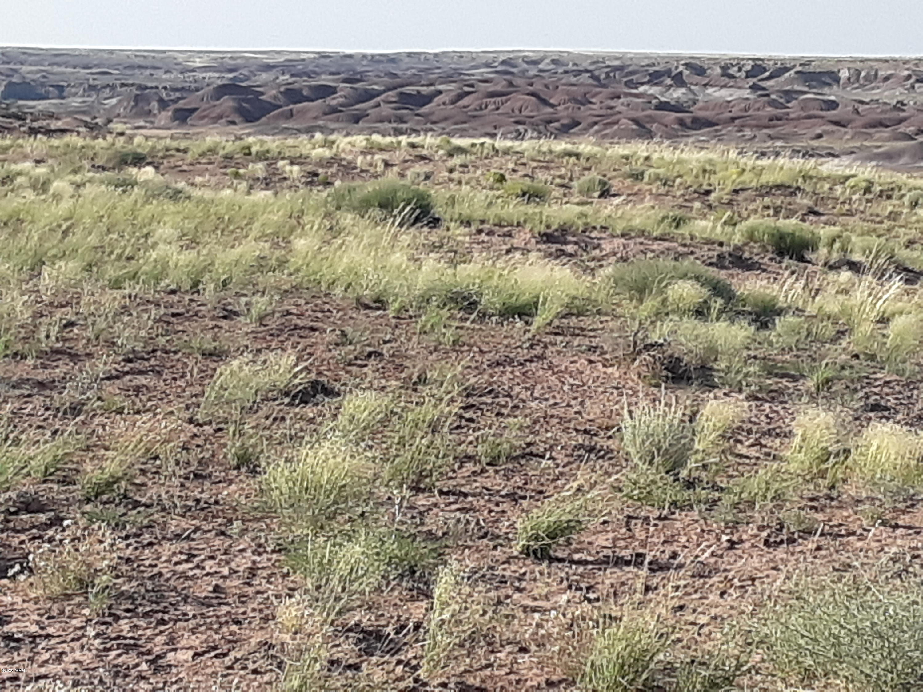 22.5 Acres Coyote Road Holbrook, AZ 86025 - Photo 37 of 38