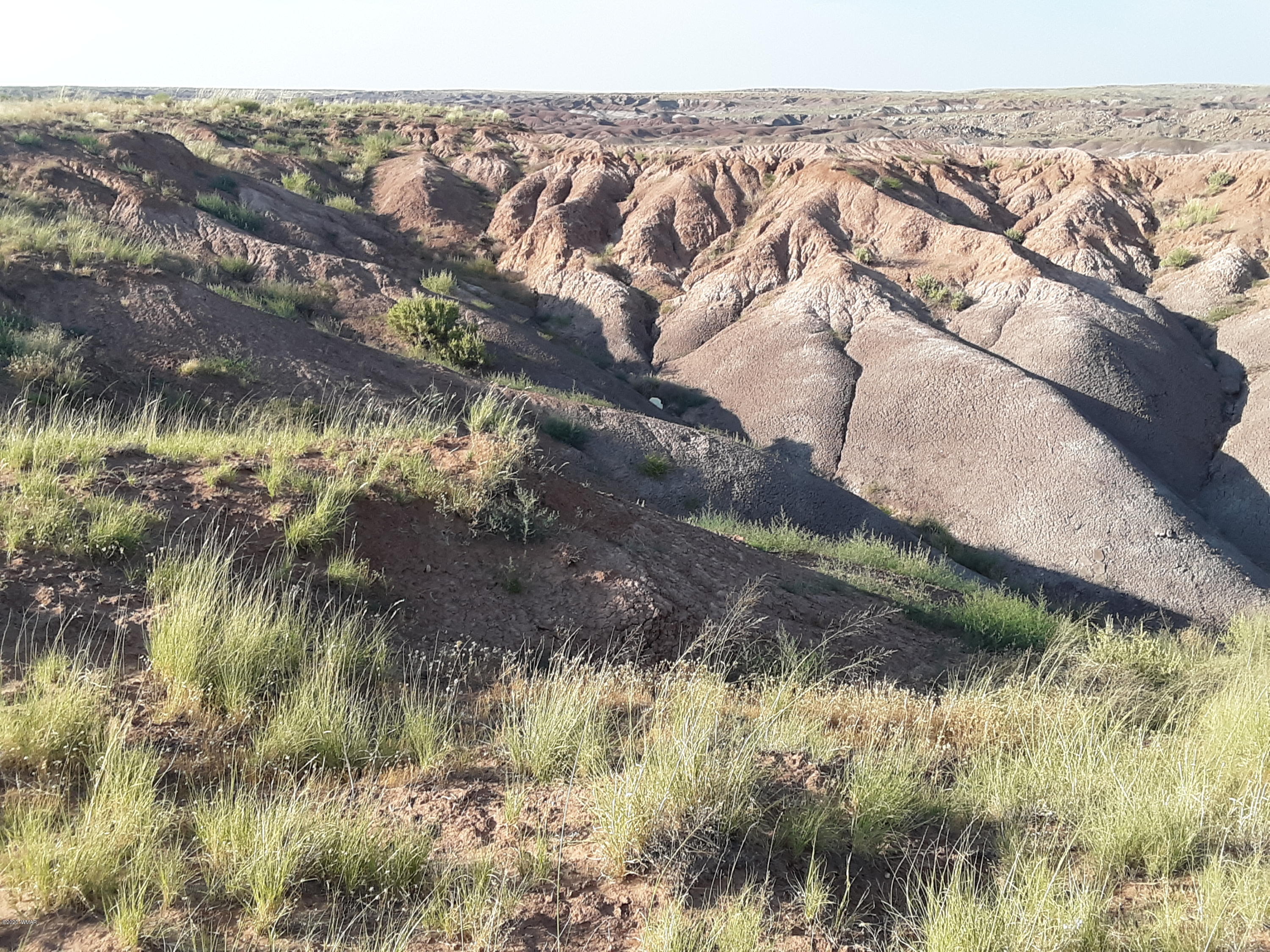 22.5 Acres Coyote Road Holbrook, AZ 86025 - Photo 4 of 38