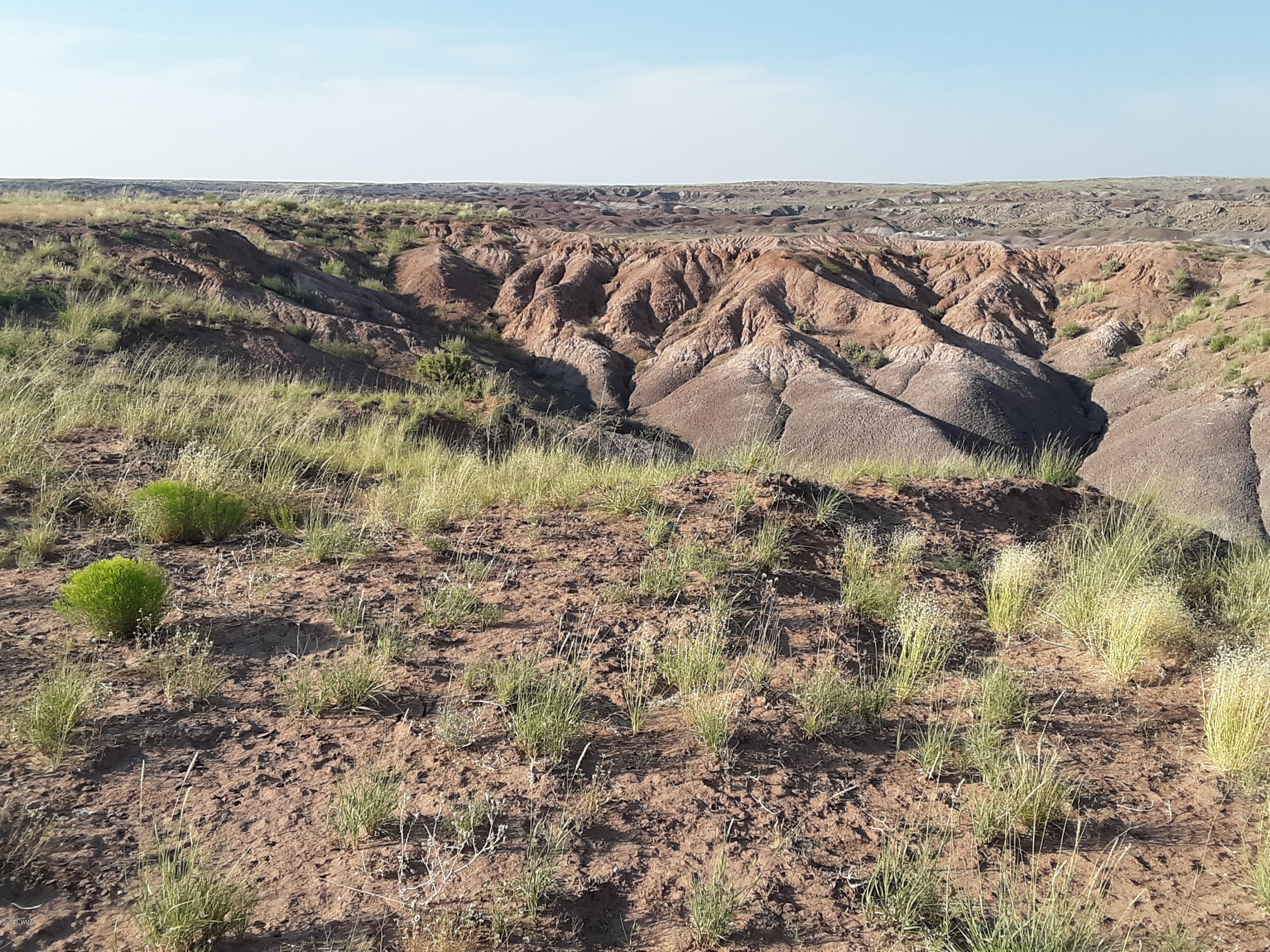 22.5 Acres Coyote Road Holbrook, AZ 86025 - Photo 6 of 38
