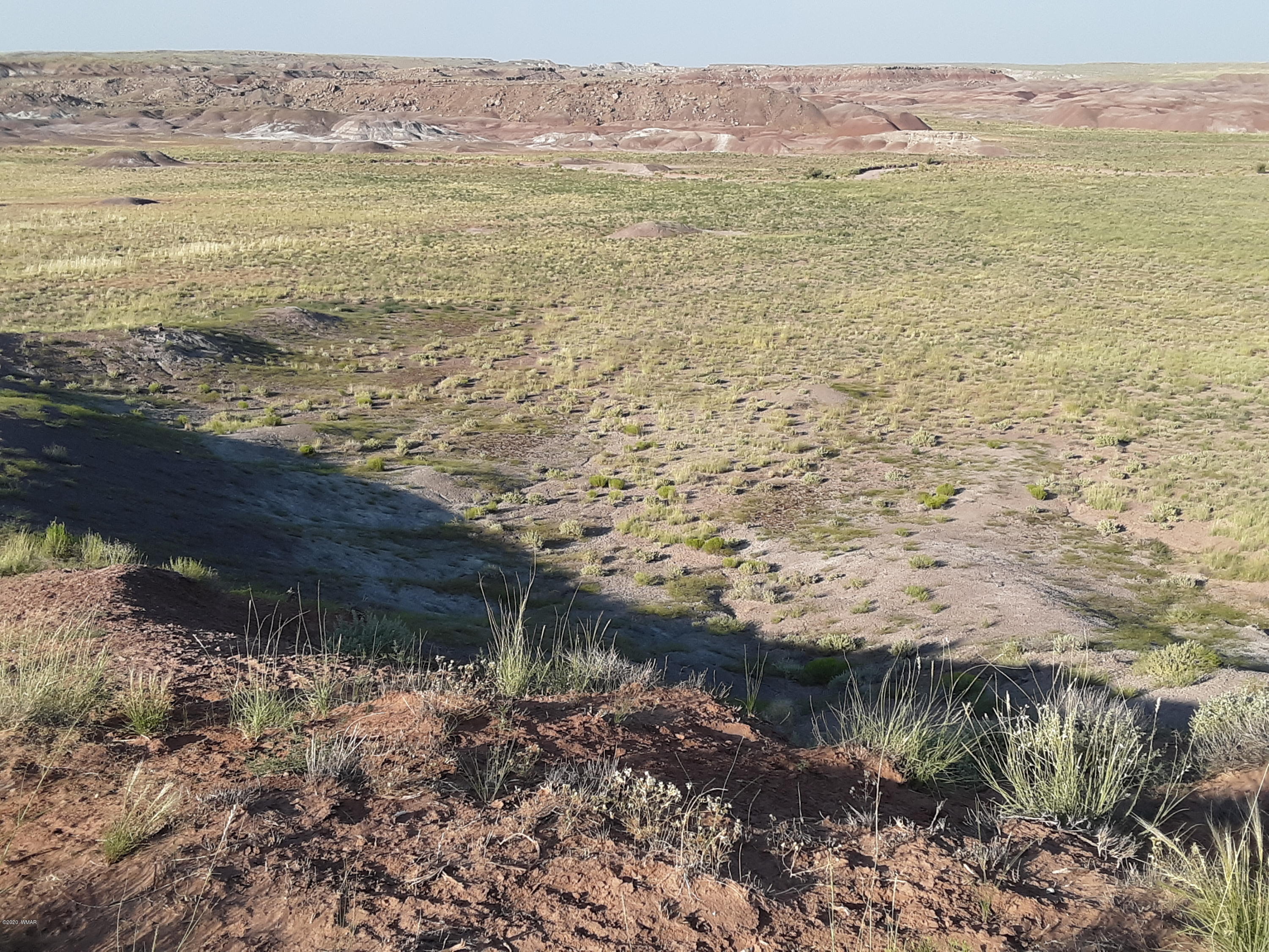 22.5 Acres Coyote Road Holbrook, AZ 86025 - Photo 10 of 38