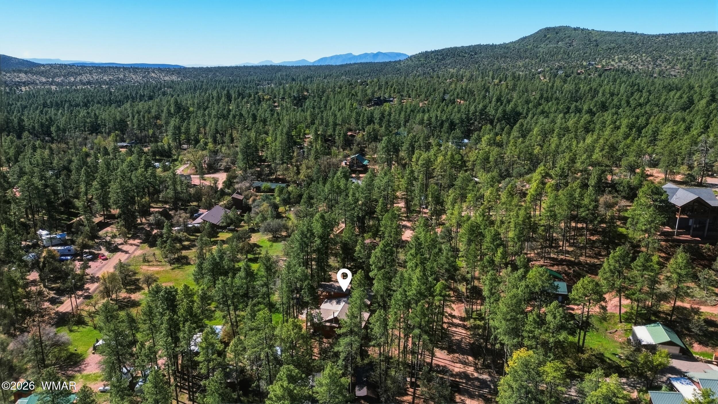 3533 Foothill Road Pine, AZ 85544 - Photo 46 of 52 a view of a lush green forest with trees in the background