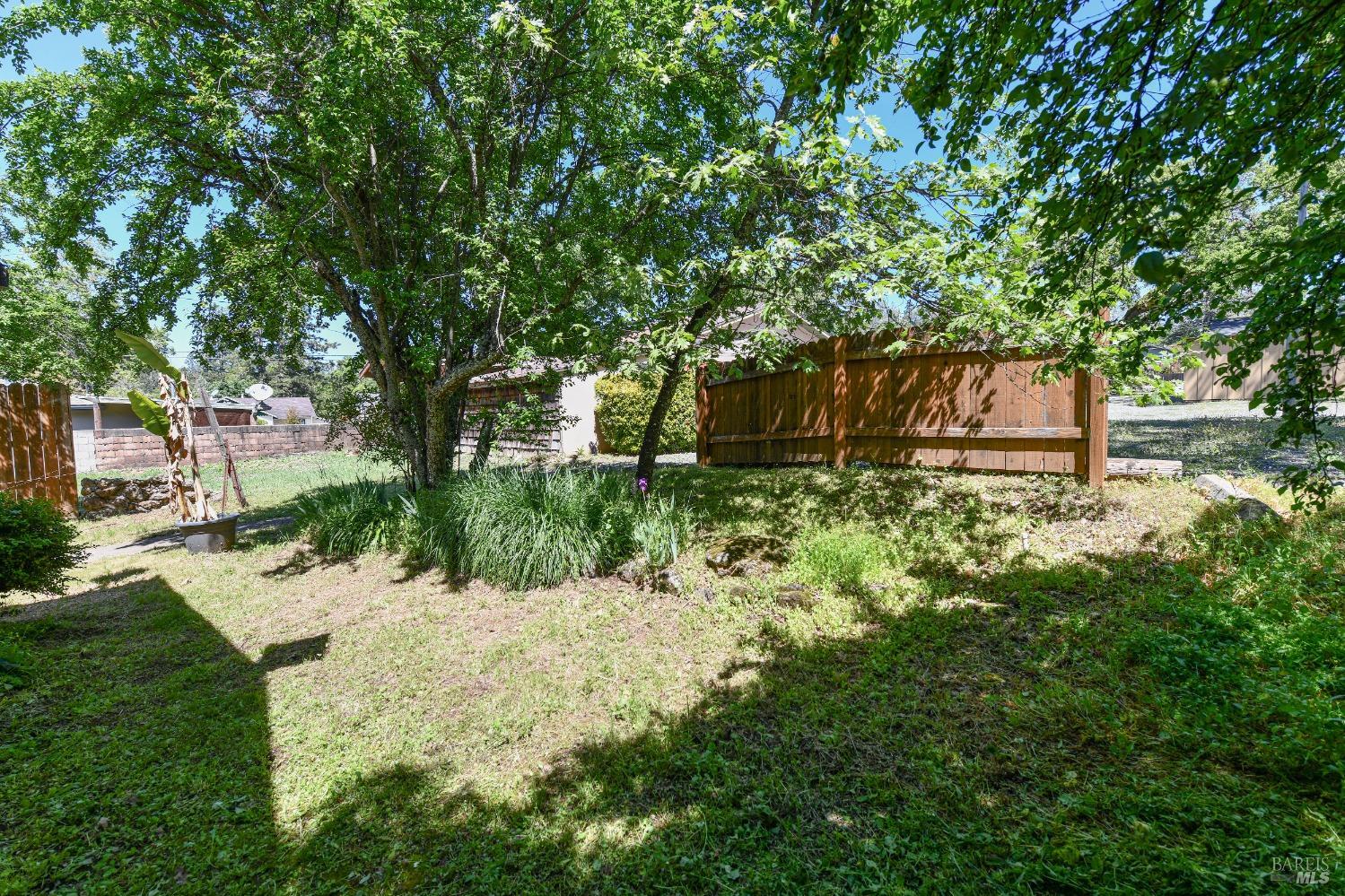 473 Newton Way Angwin, CA 94508 - Photo 66 of 87