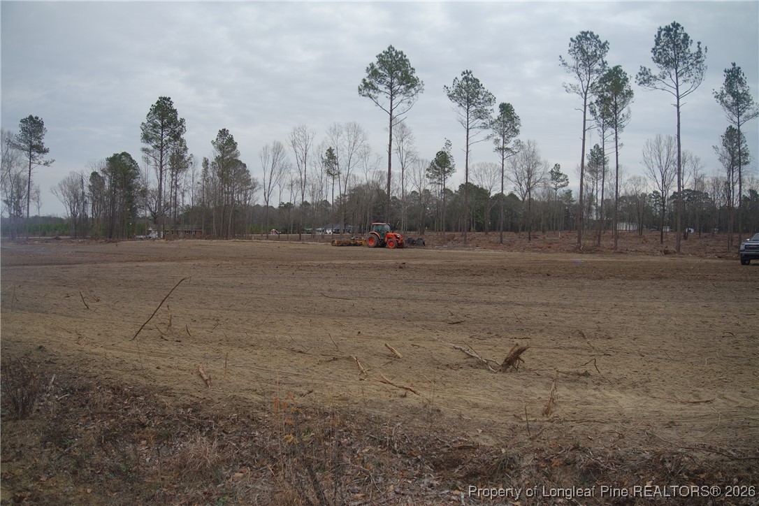 a view of dirt field with large trees