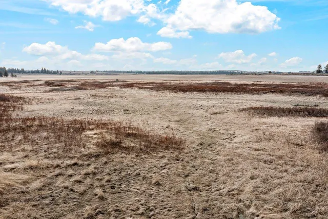 $99,000 | 241-xx West Kitt Road, Reardan, WA 99029