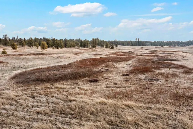 $99,000 | 241-xx West Kitt Road, Reardan, WA 99029