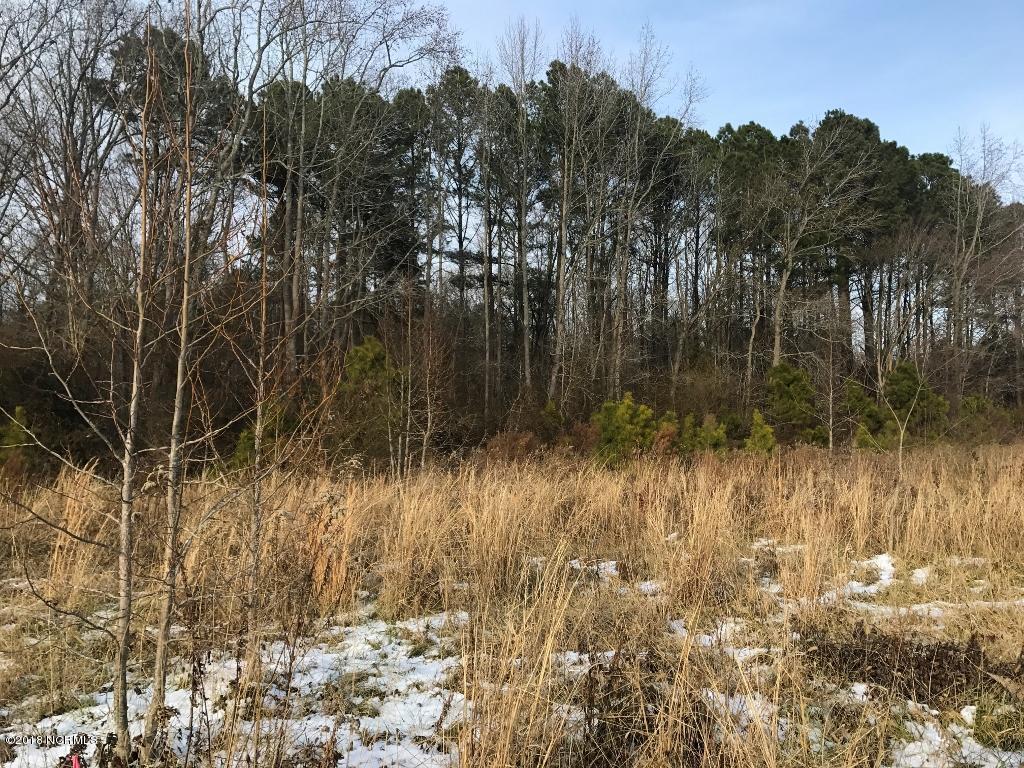 26.89 Bynum Farm Road Pinetops, NC 27864 - Photo 17 of 43 17 (1024x768)