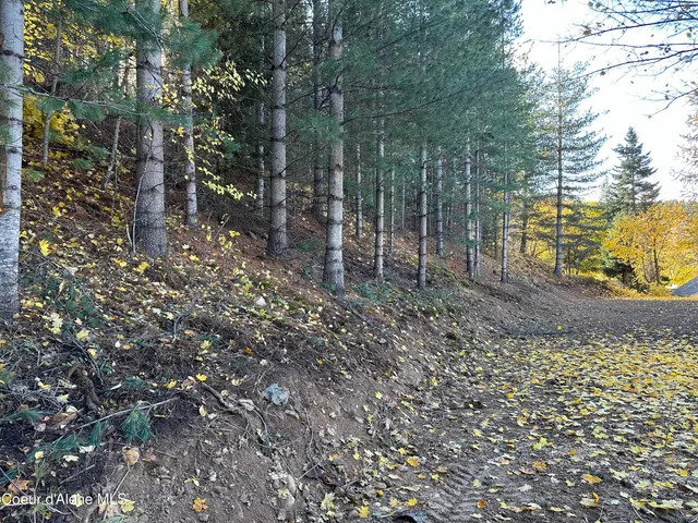 $88,000 | Nka Presley Avenue, Kellogg, ID 83837