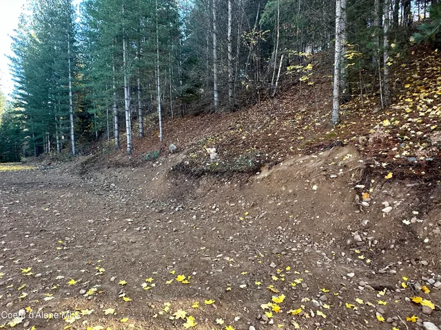 $88,000 | Nka Presley Avenue, Kellogg, ID 83837