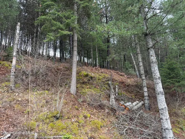 $88,000 | Nka Presley Avenue, Kellogg, ID 83837