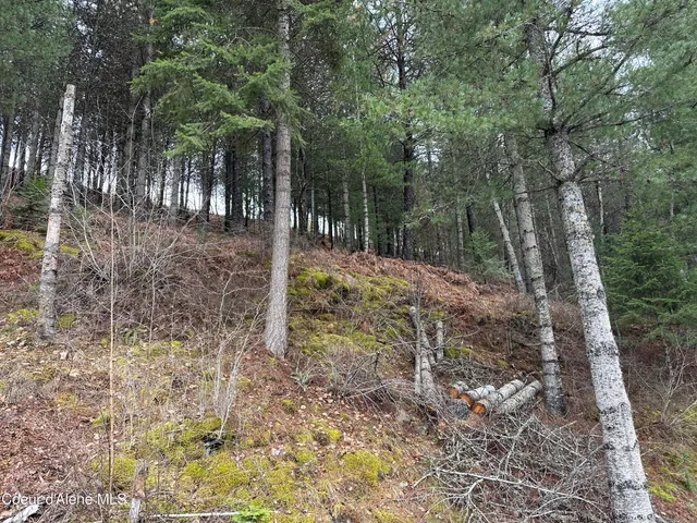 $88,000 | Nka Presley Avenue, Kellogg, ID 83837