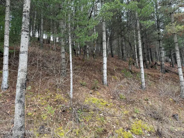 $88,000 | Nka Presley Avenue, Kellogg, ID 83837