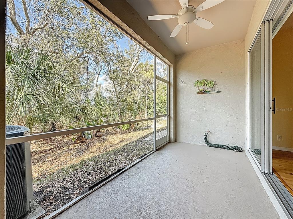 3589 Country Pointe Place Palm Harbor, FL 34684 - Photo 14 of 31 a view of a room with window